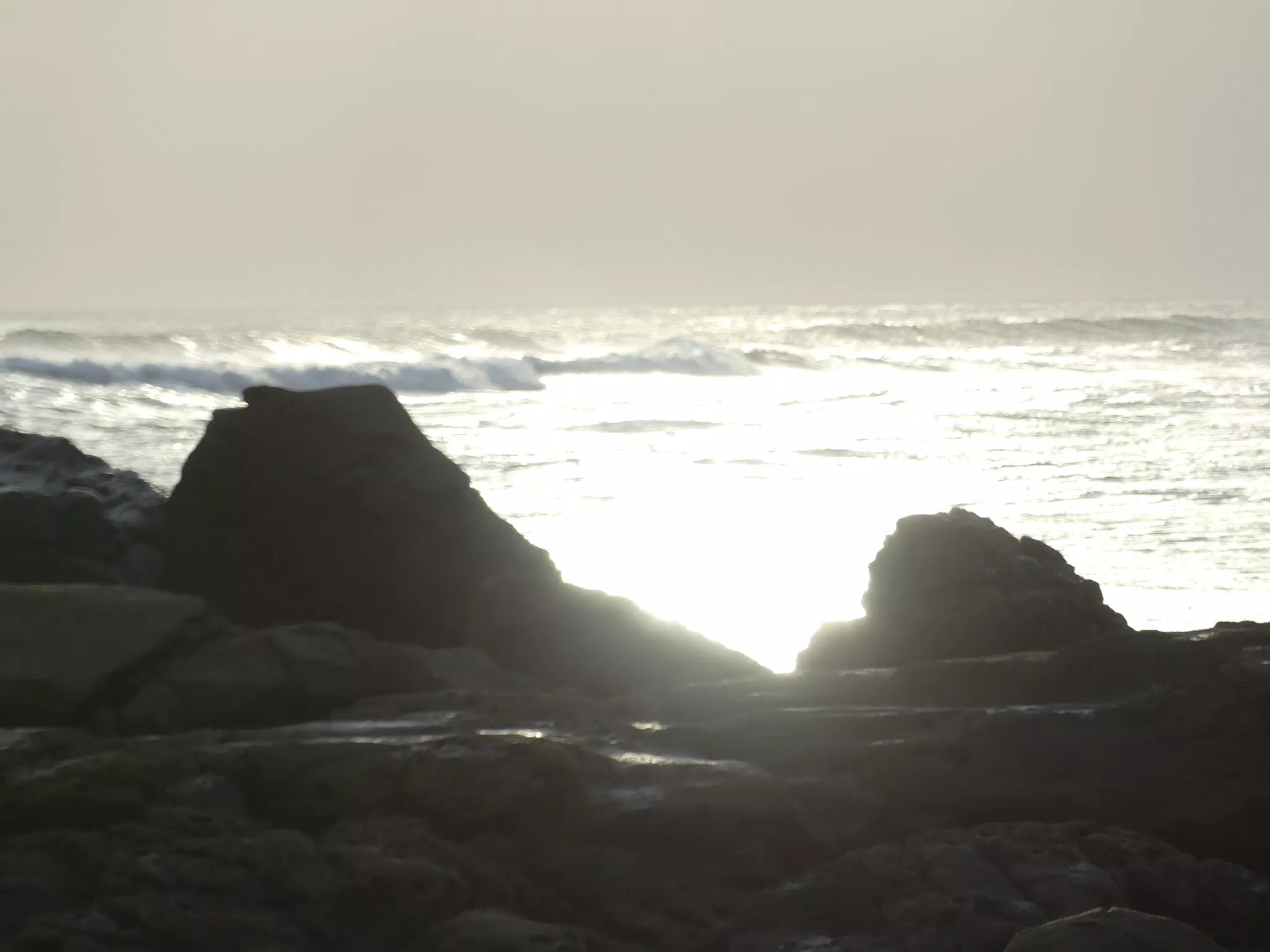 Life Near the Rocks Around Sunset, Las Penitas Beach
