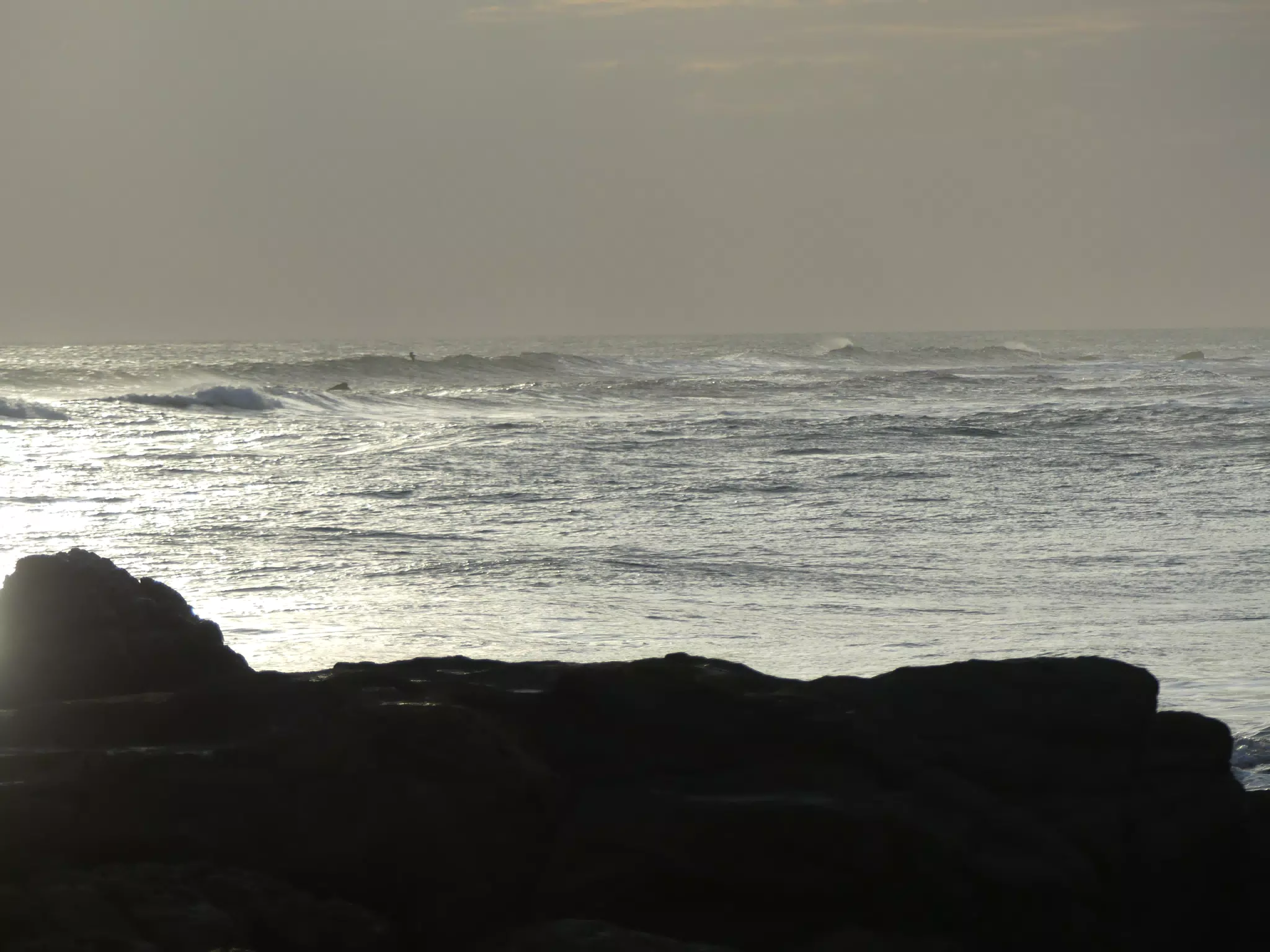 Life Near the Rocks Around Sunset, Las Penitas Beach