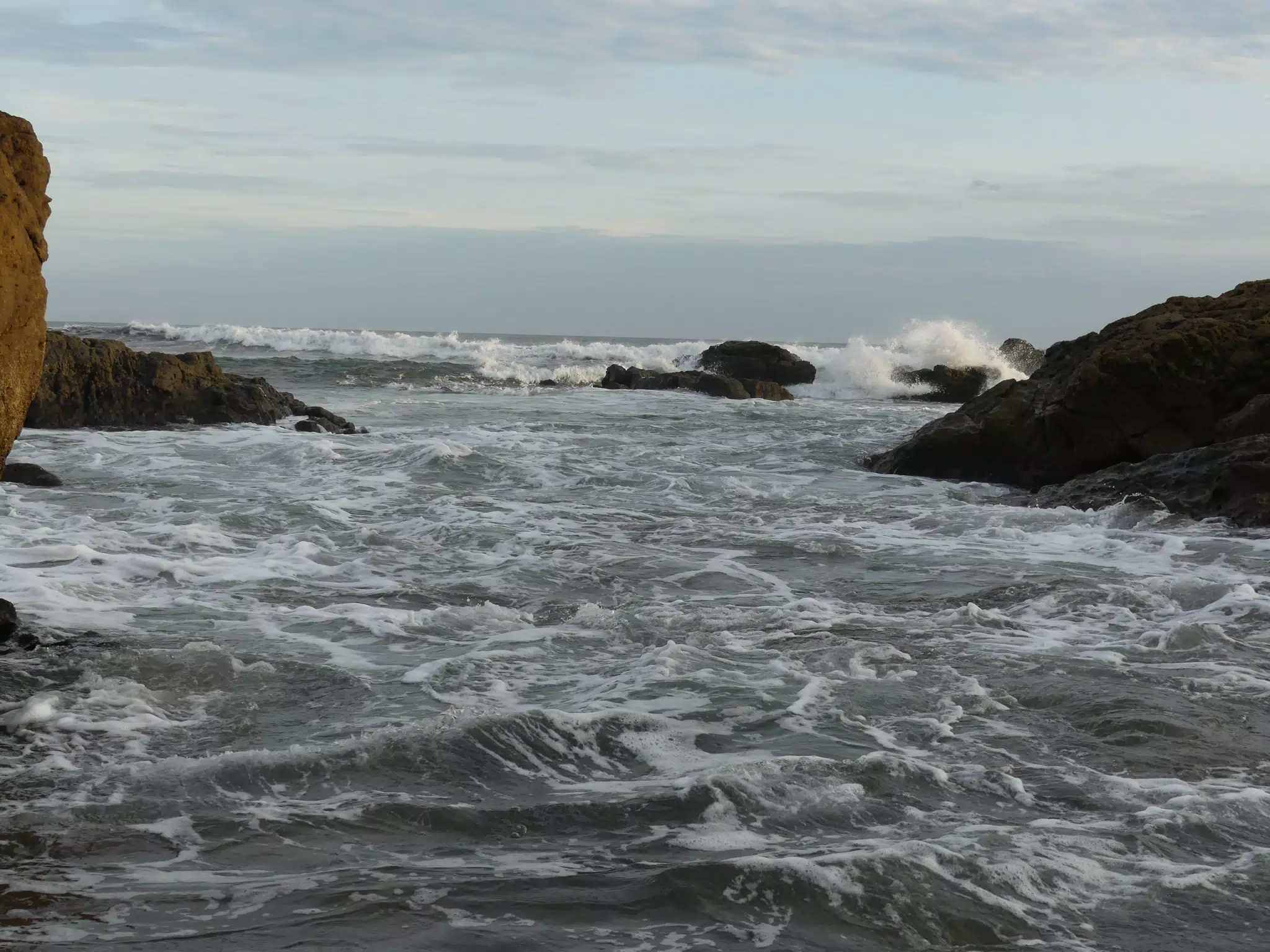 Life Near the Rocks Around Sunset, Las Penitas Beach