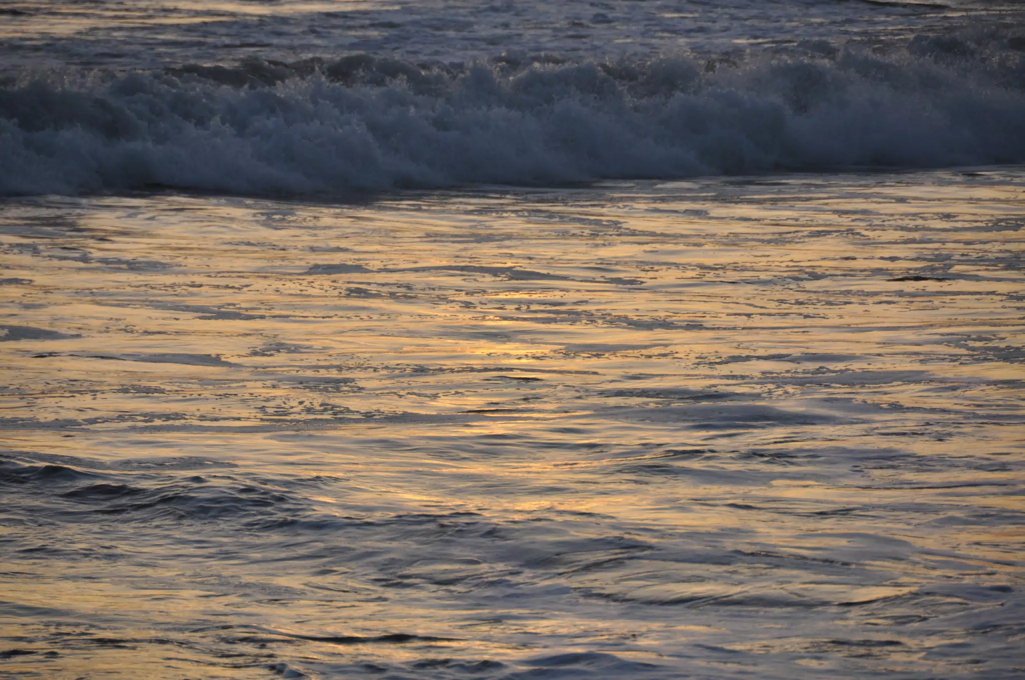 From the Simple Beach Lodge, Pas Penitas
