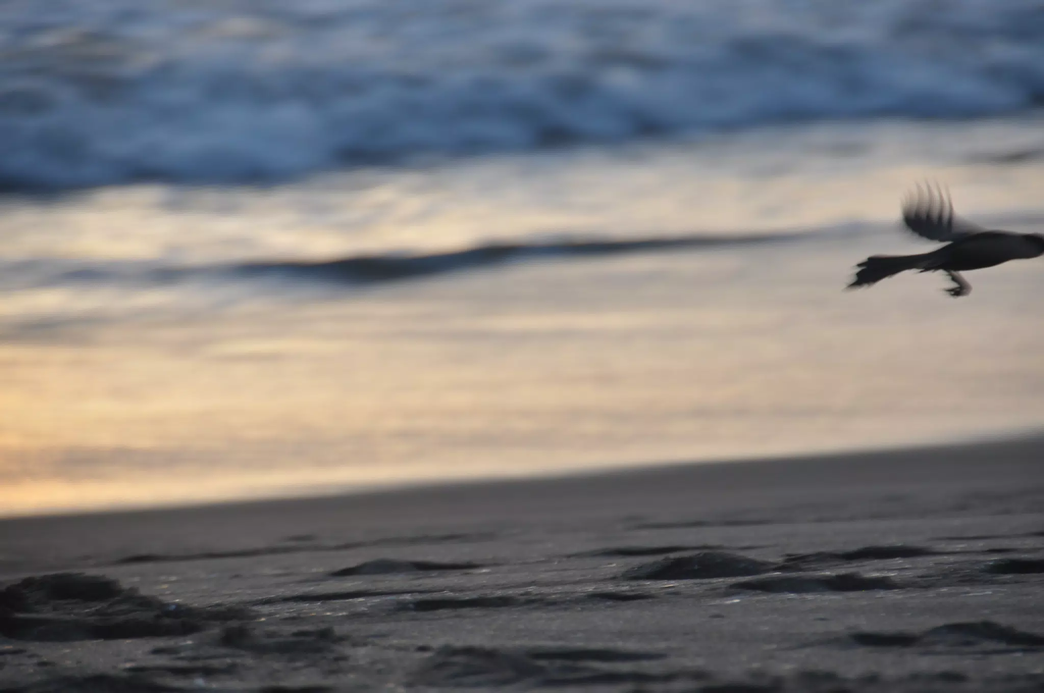 From the Simple Beach Lodge, Pas Penitas