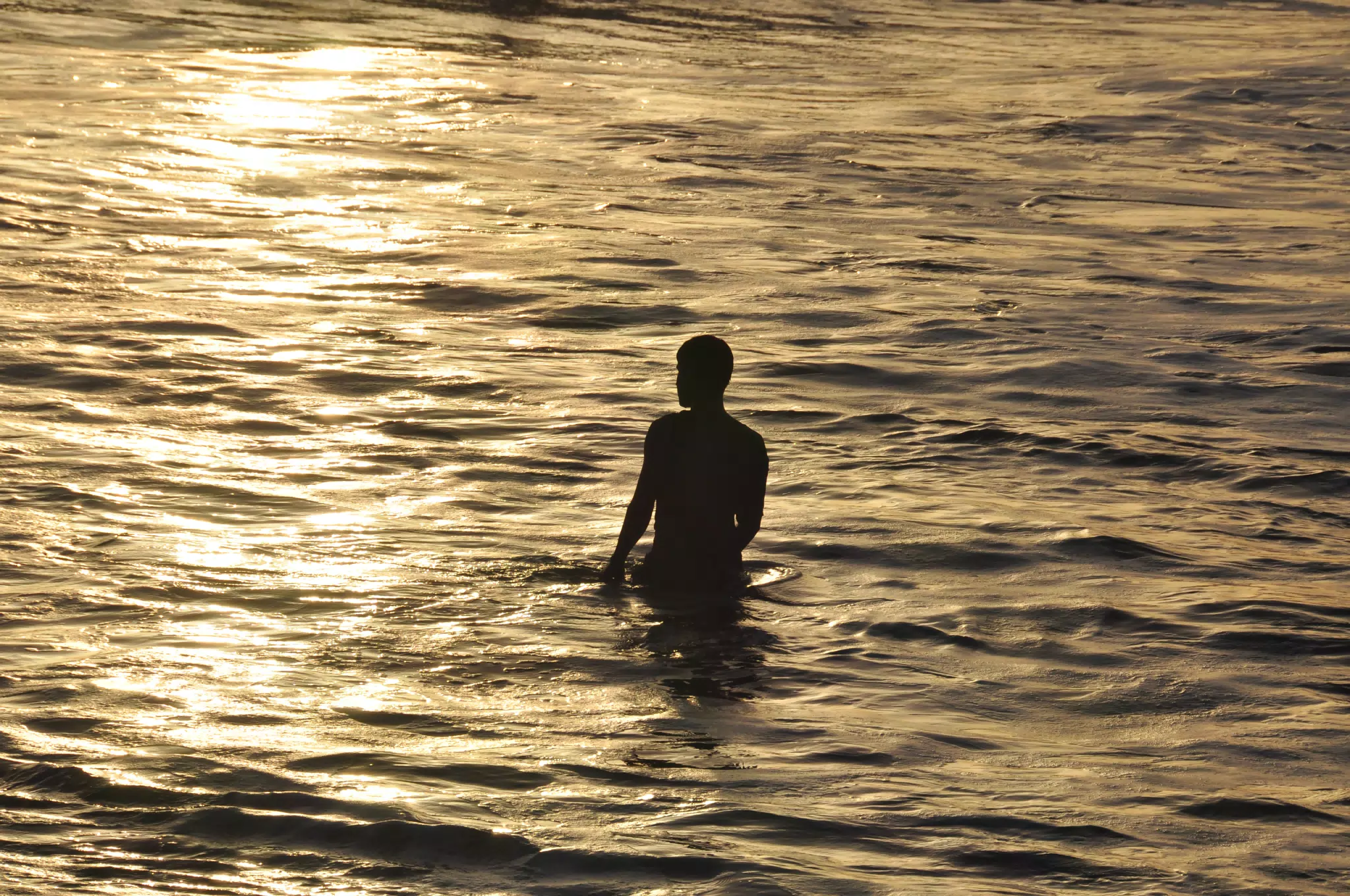 From the Simple Beach Lodge, Pas Penitas