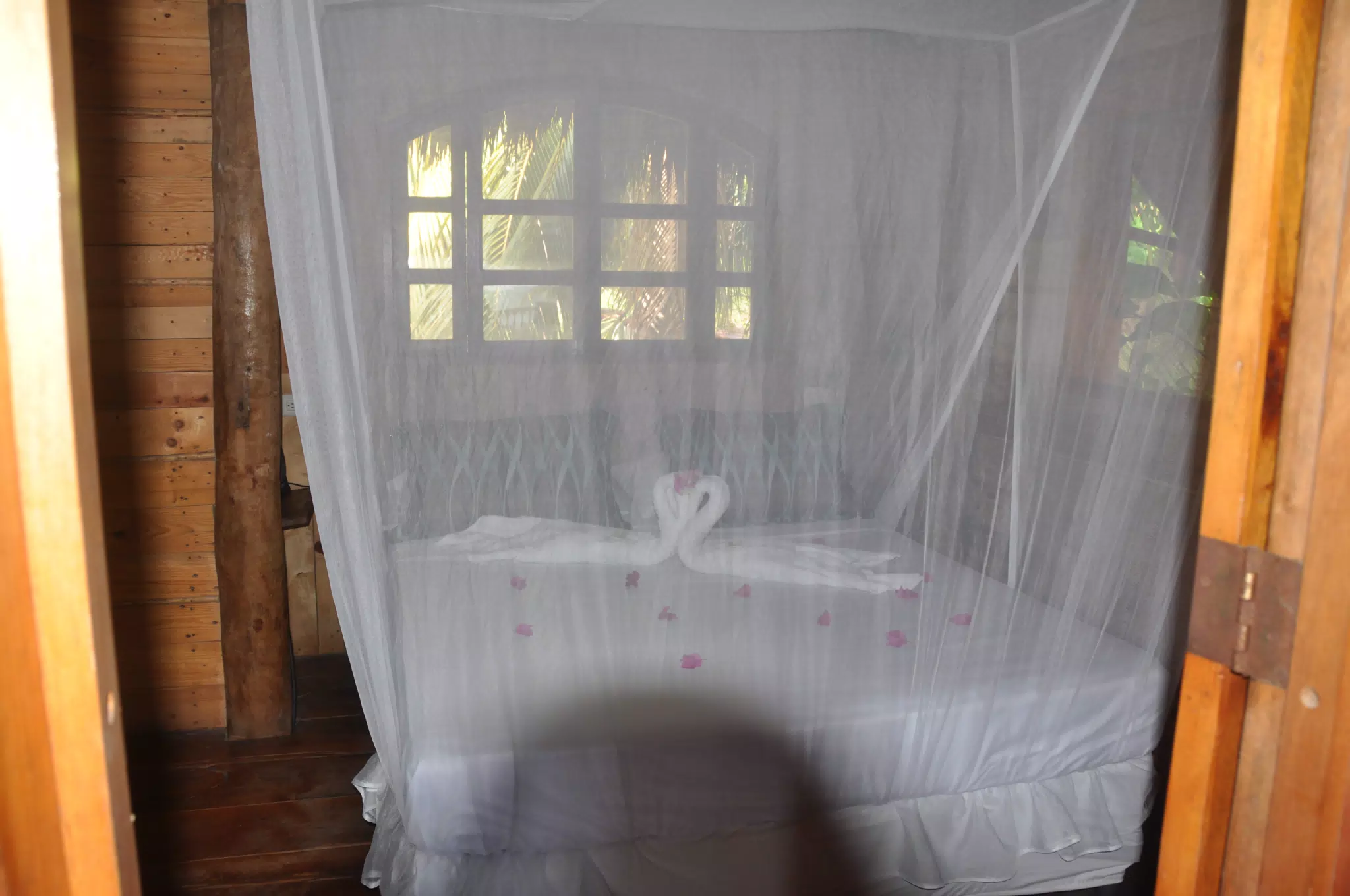 From the Simple Beach Lodge, Pas Penitas