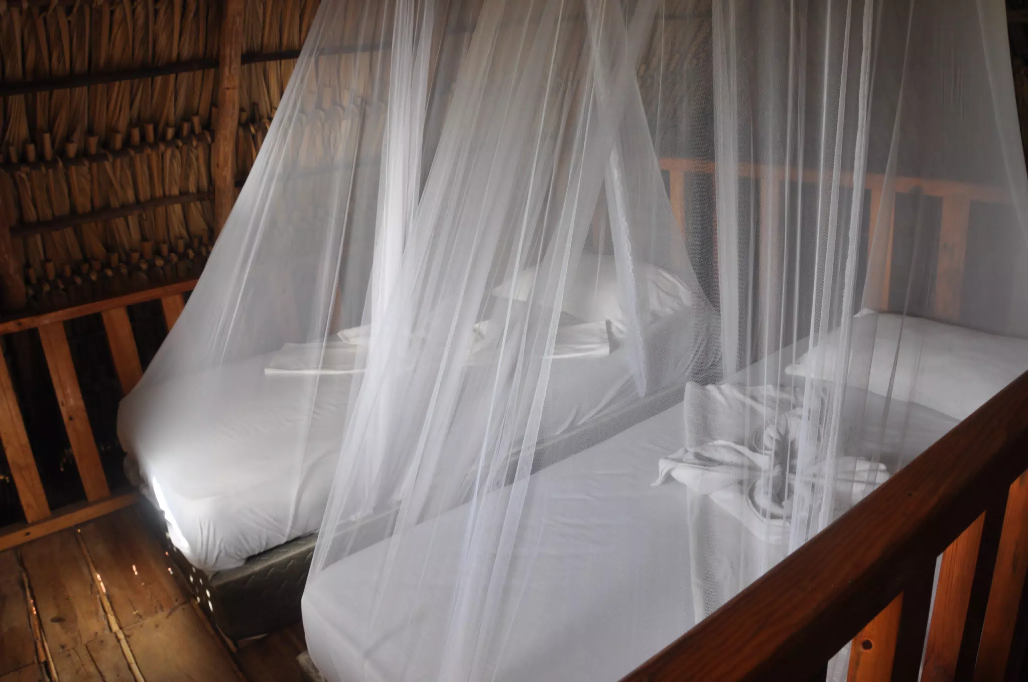 From the Simple Beach Lodge, Pas Penitas