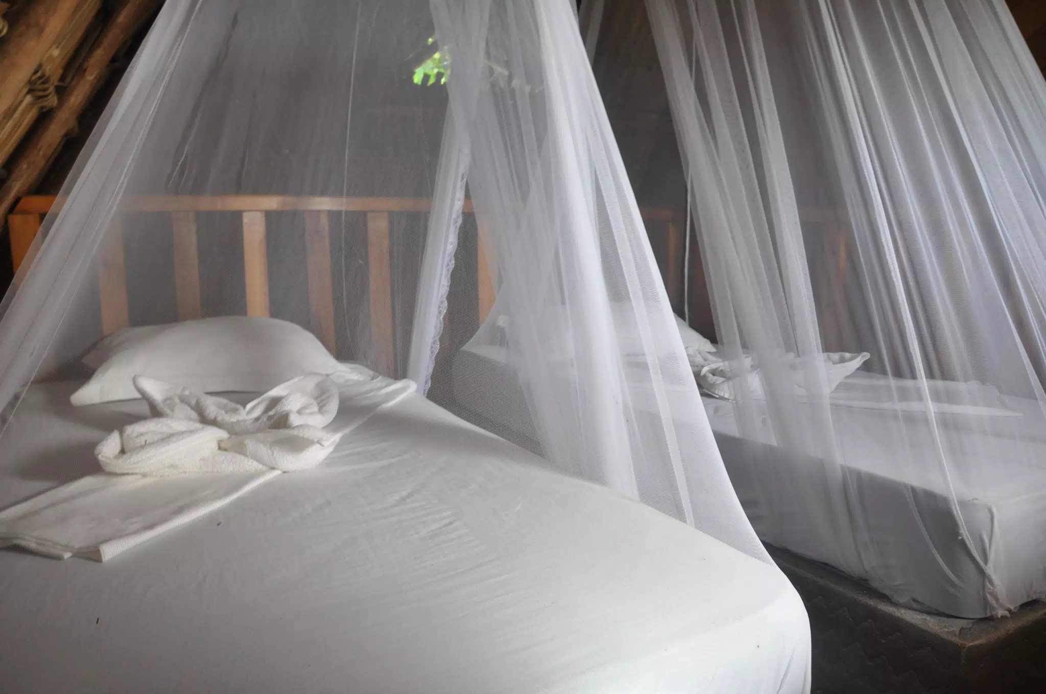 From the Simple Beach Lodge, Pas Penitas