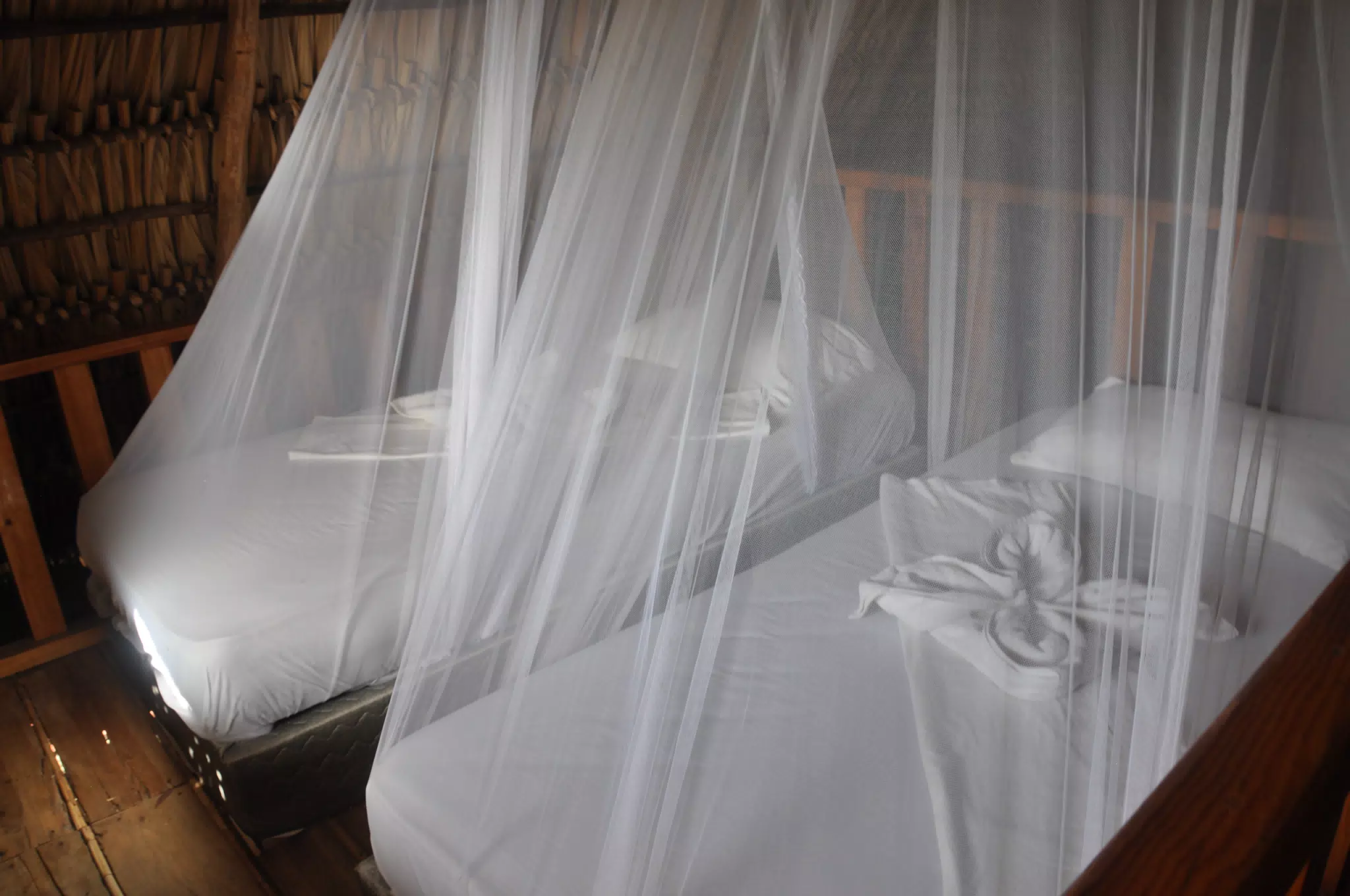 From the Simple Beach Lodge, Pas Penitas