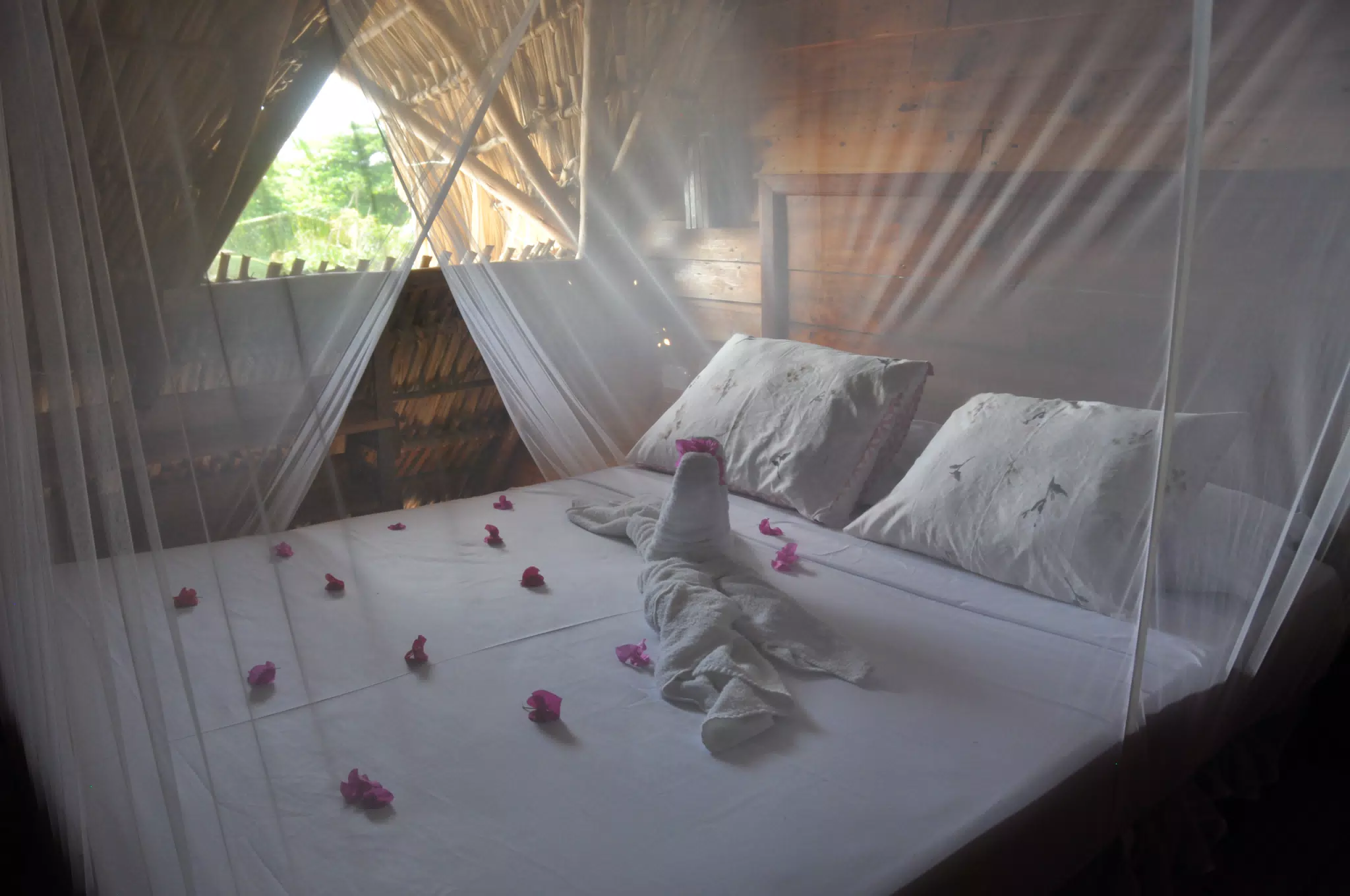 From the Simple Beach Lodge, Pas Penitas