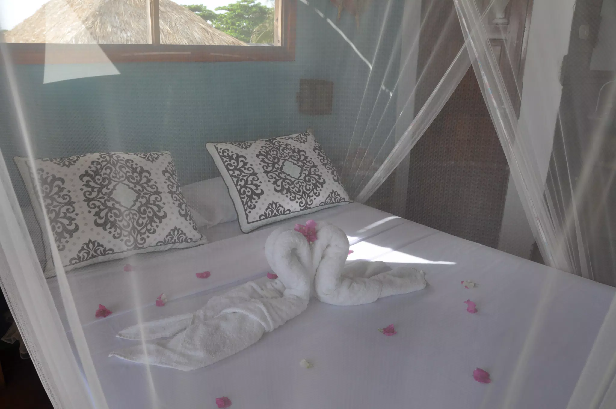 From the Simple Beach Lodge, Pas Penitas