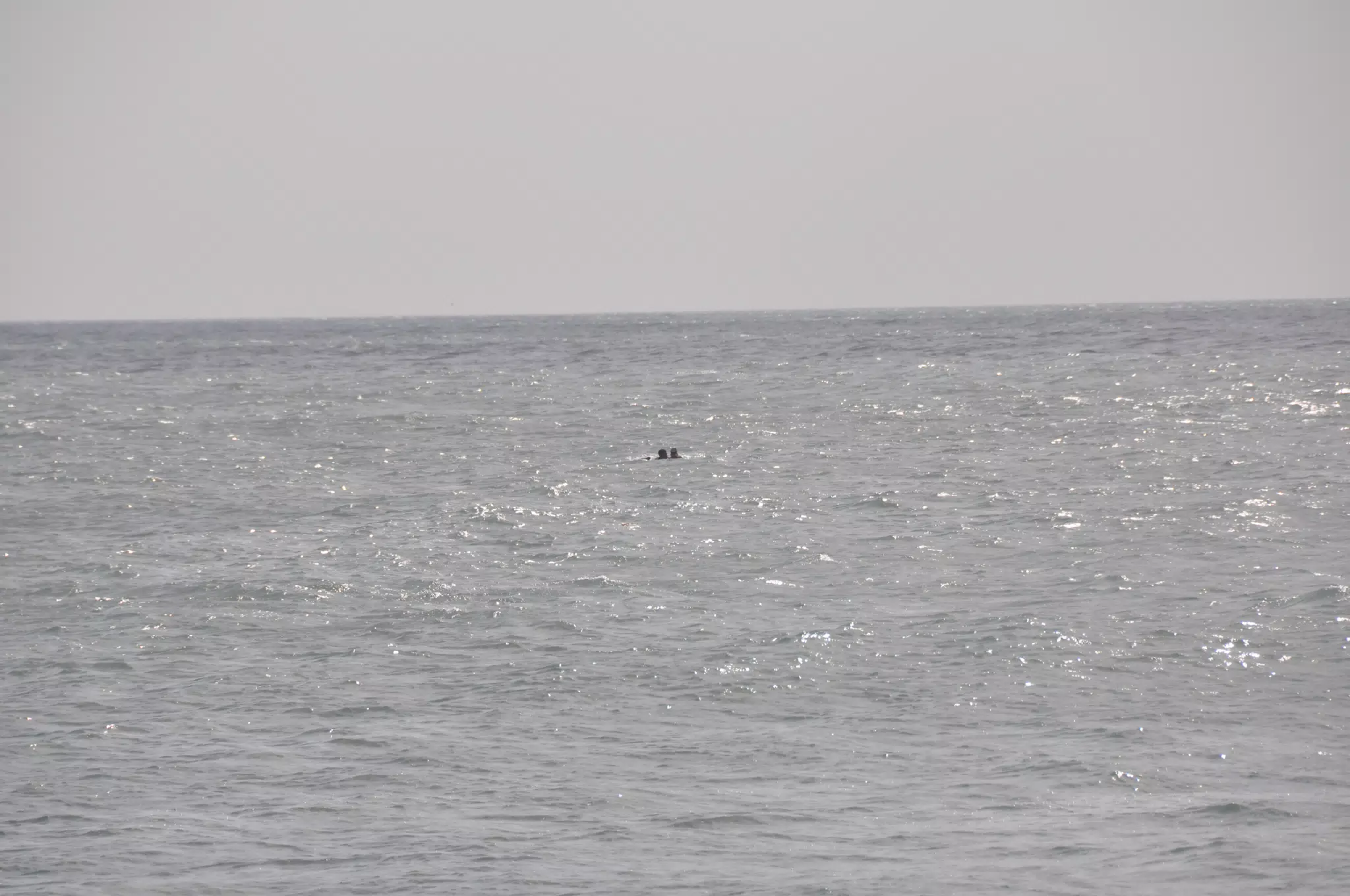 From the Simple Beach Lodge, Pas Penitas