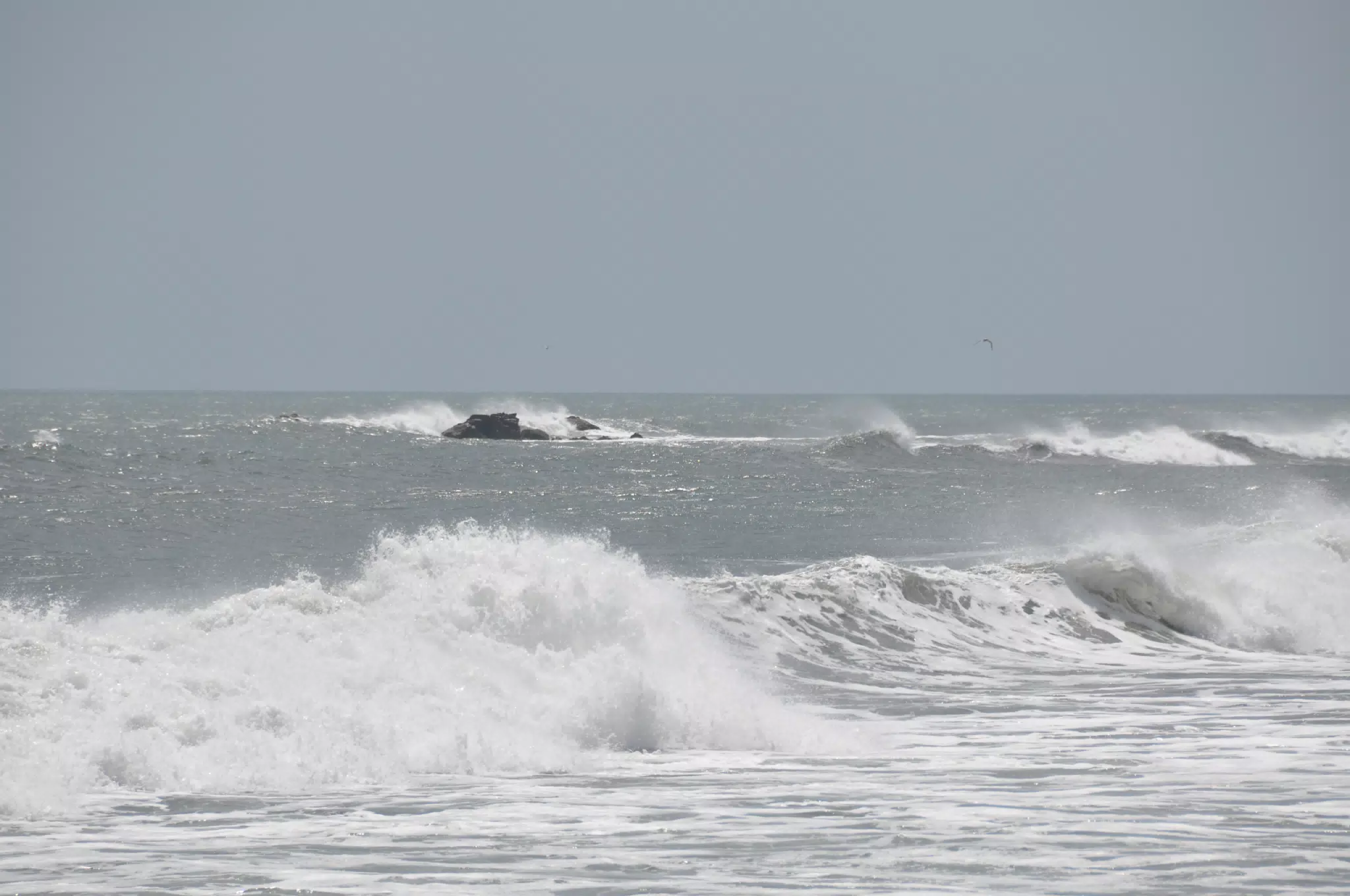 Scenes from Las Penitas Beach