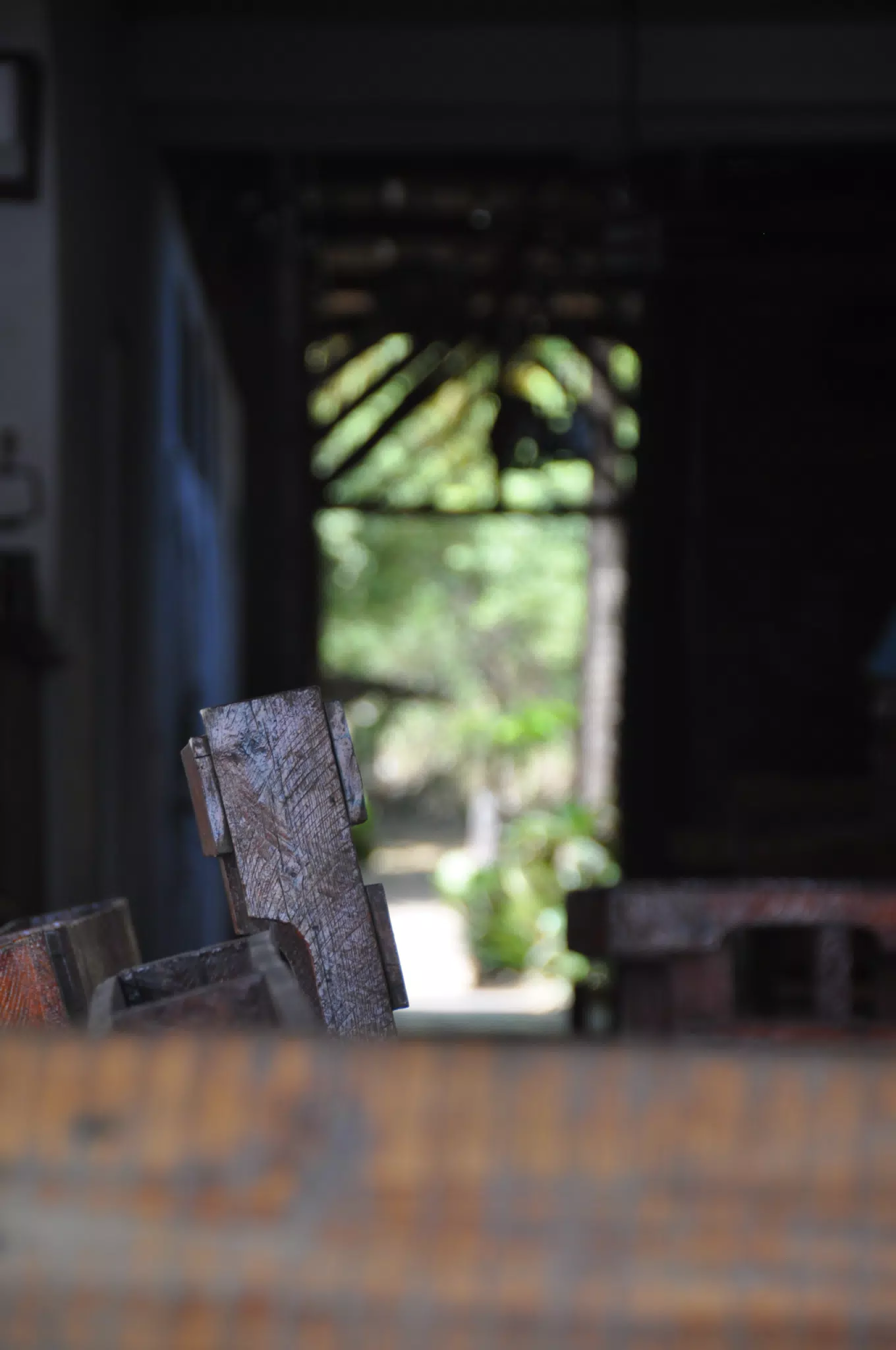 Scenes from Las Penitas Beach