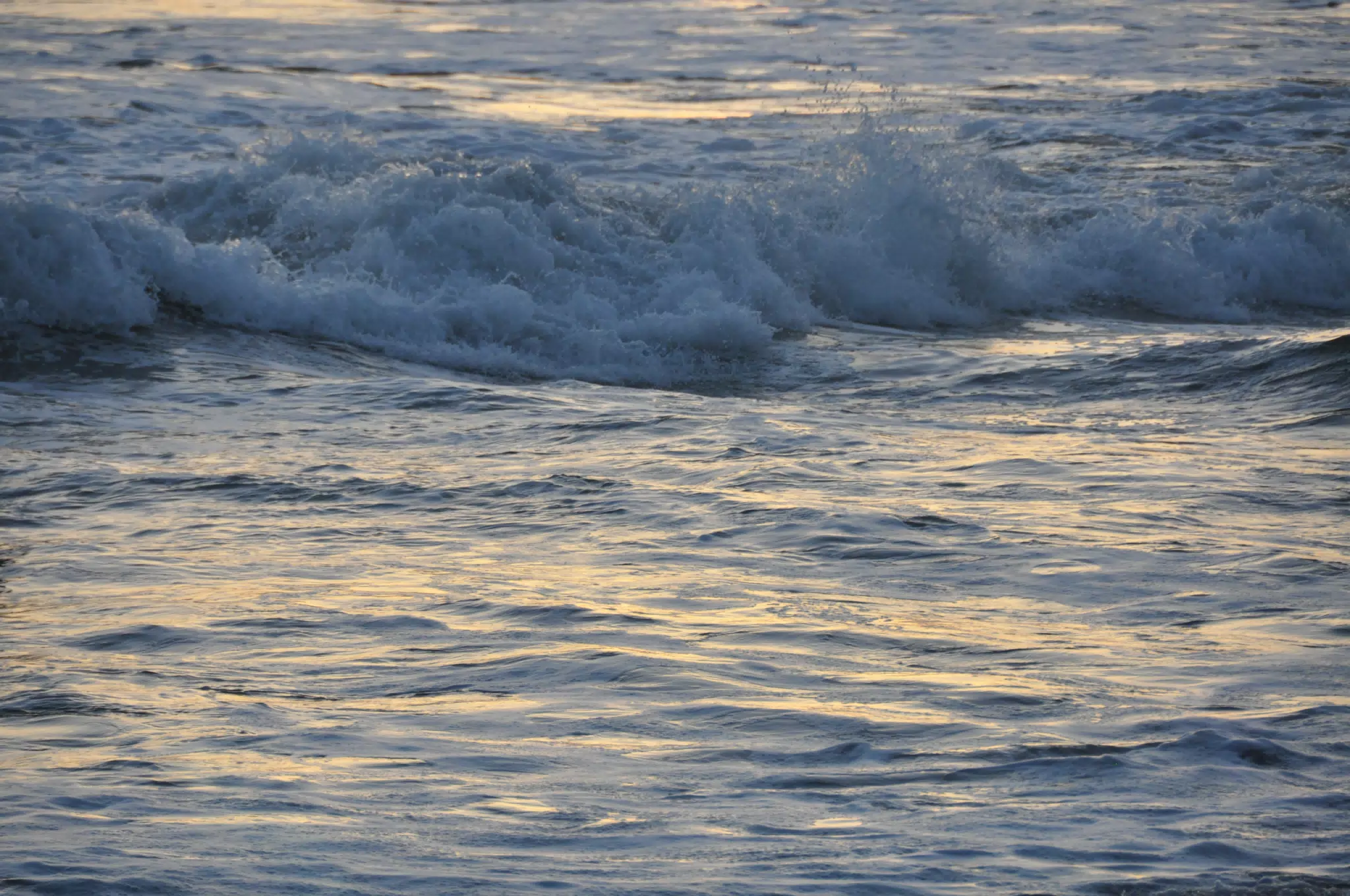 From the Simple Beach Lodge, Pas Penitas
