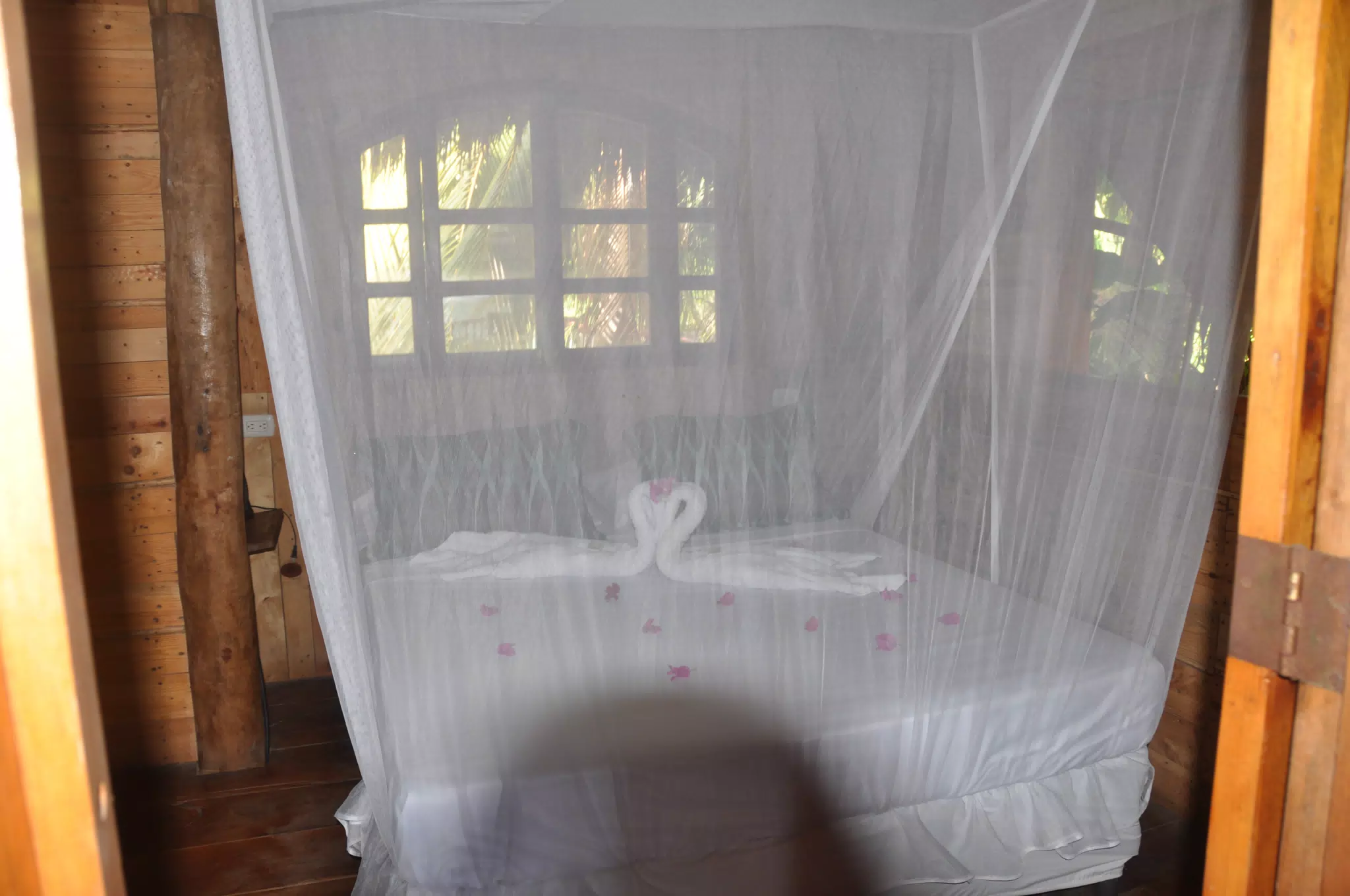 From the Simple Beach Lodge, Pas Penitas