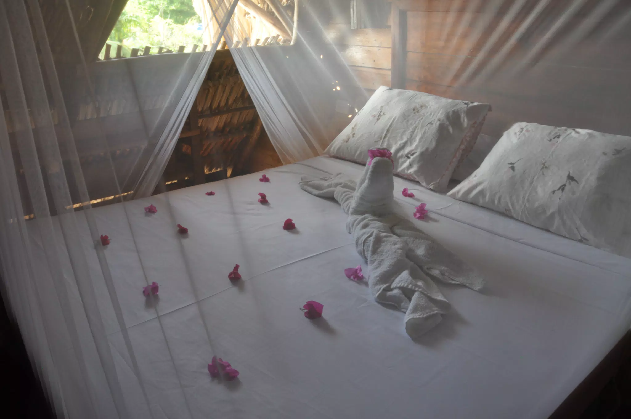From the Simple Beach Lodge, Pas Penitas