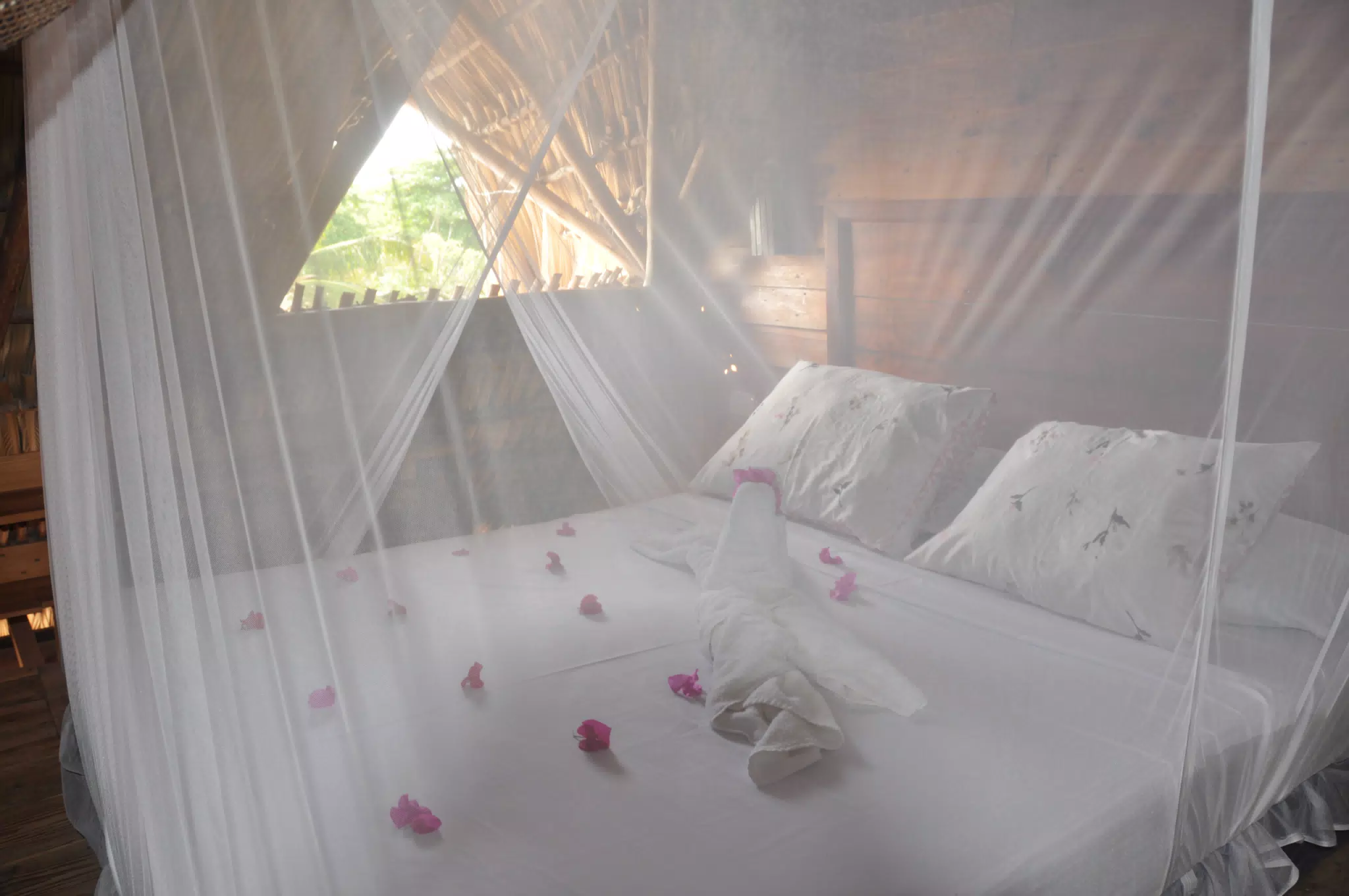 From the Simple Beach Lodge, Pas Penitas