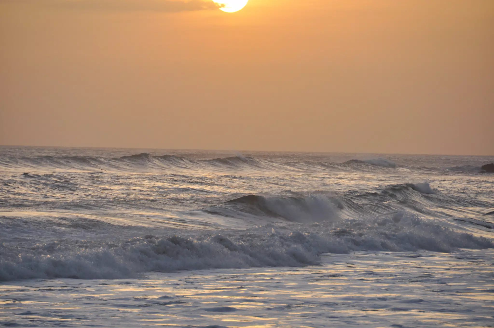 From the Simple Beach Lodge, Pas Penitas