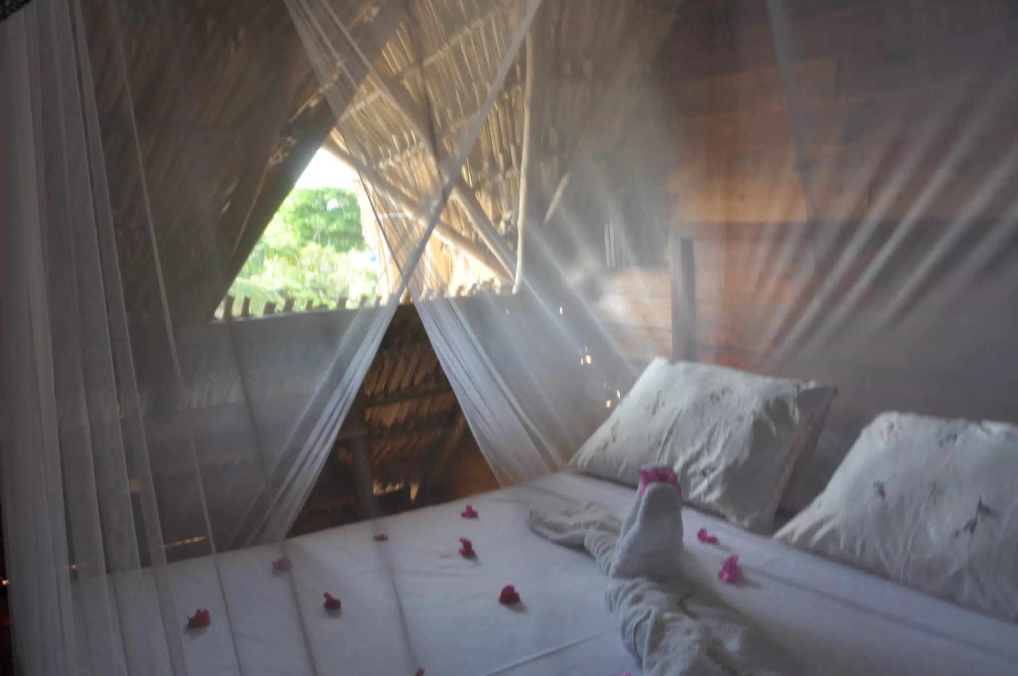 From the Simple Beach Lodge, Pas Penitas