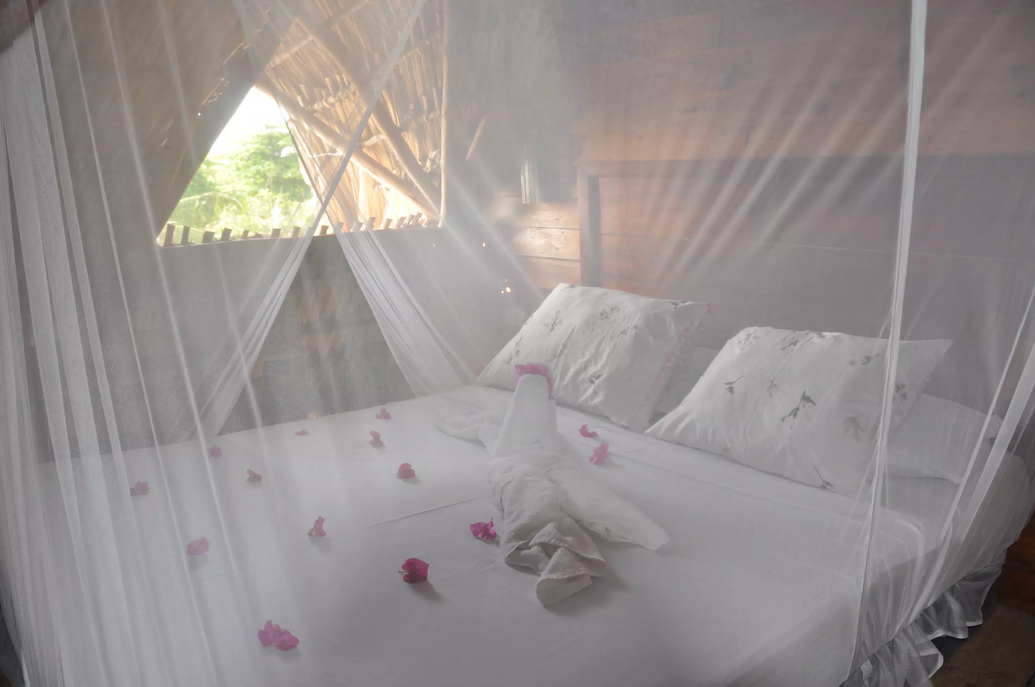 From the Simple Beach Lodge, Pas Penitas