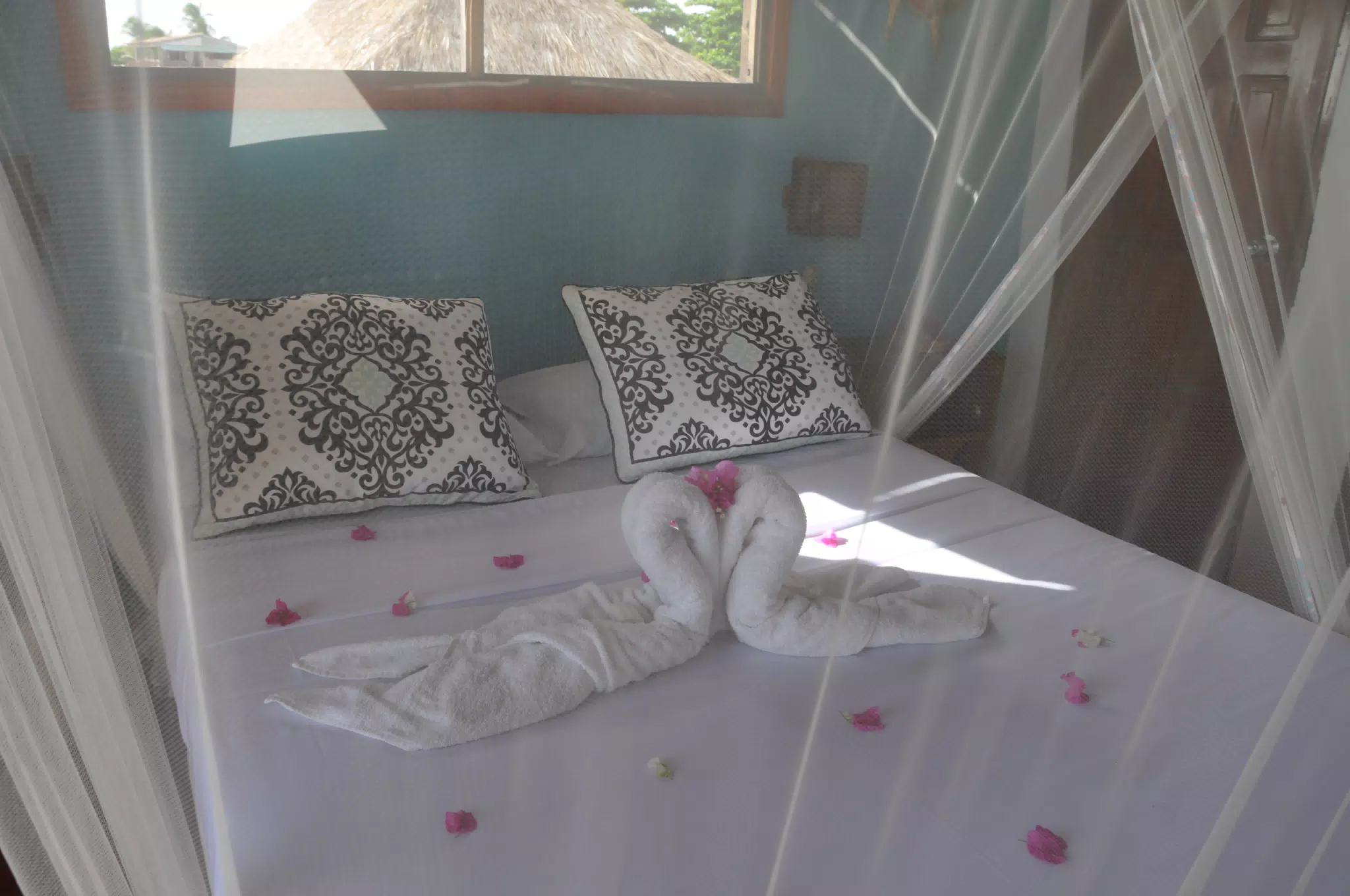 From the Simple Beach Lodge, Pas Penitas