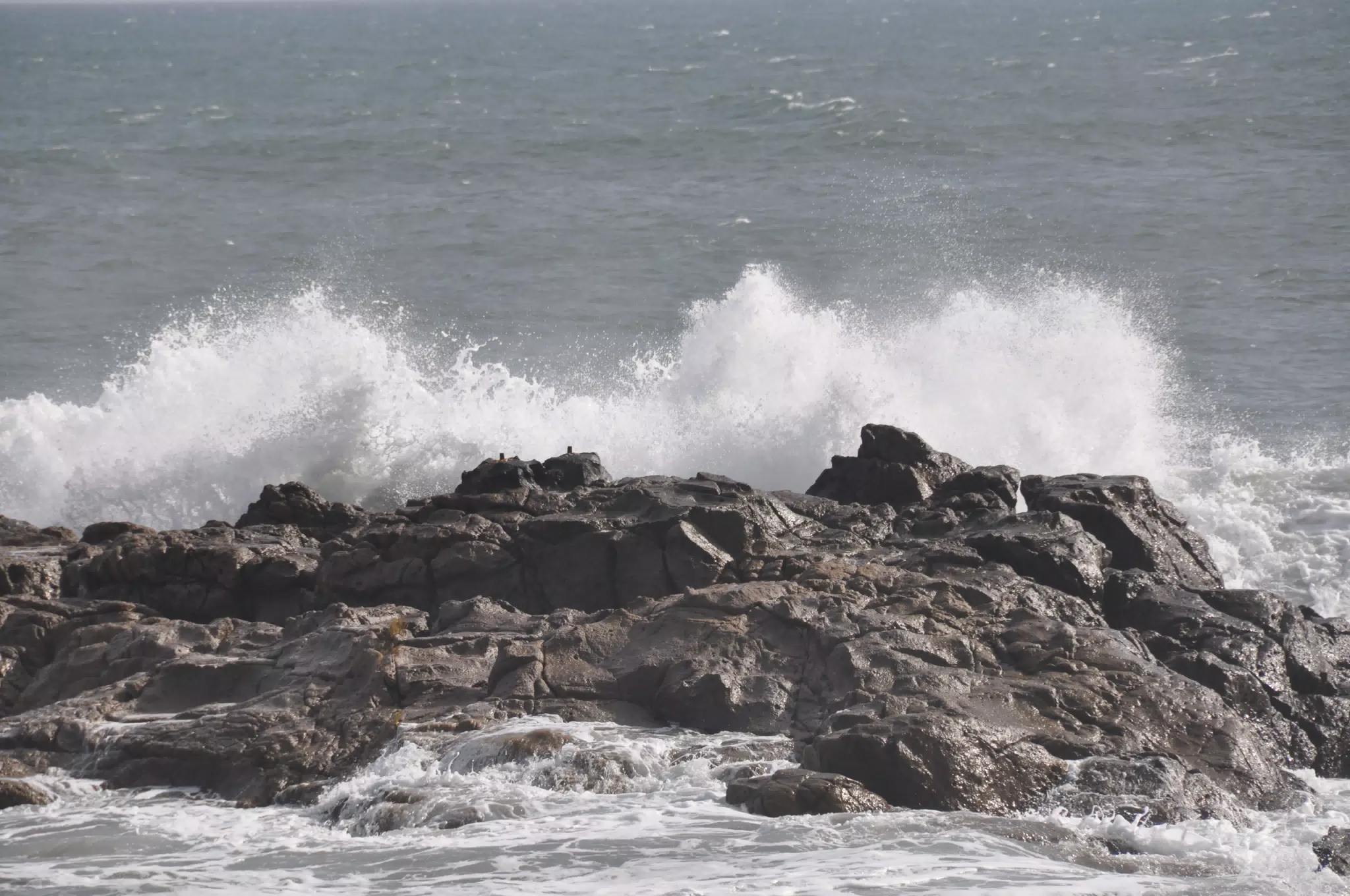 From the Simple Beach Lodge, Pas Penitas