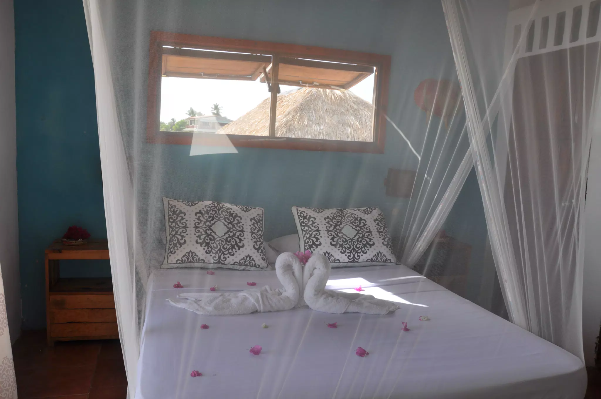 From the Simple Beach Lodge, Pas Penitas