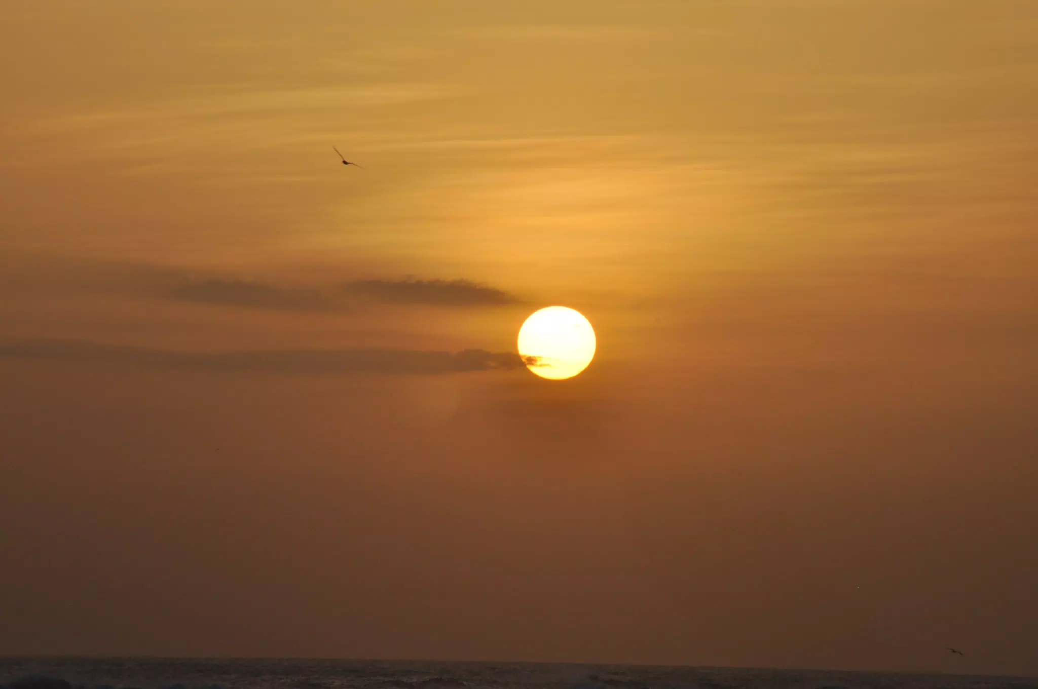From the Simple Beach Lodge, Pas Penitas