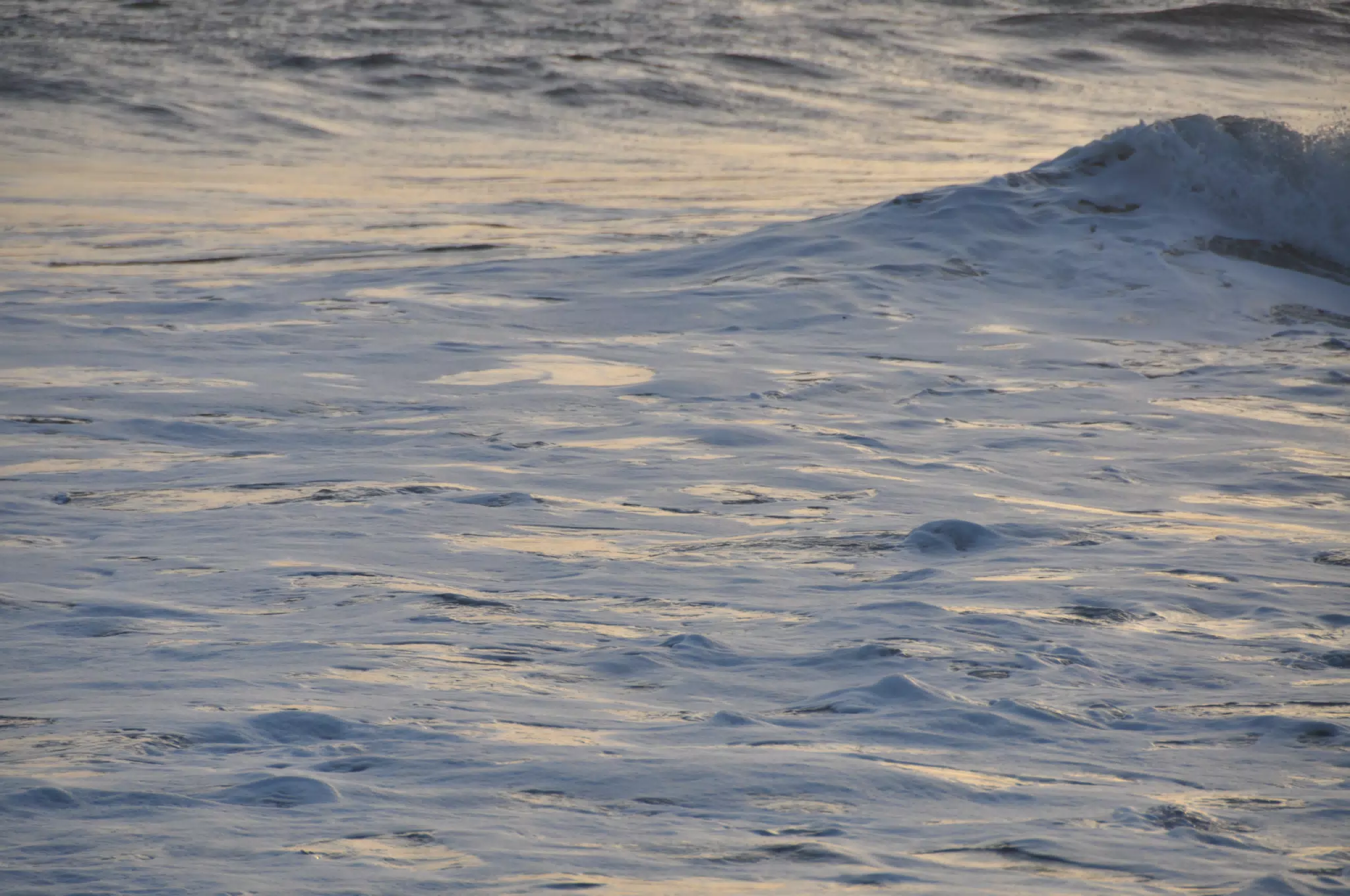 From the Simple Beach Lodge, Pas Penitas