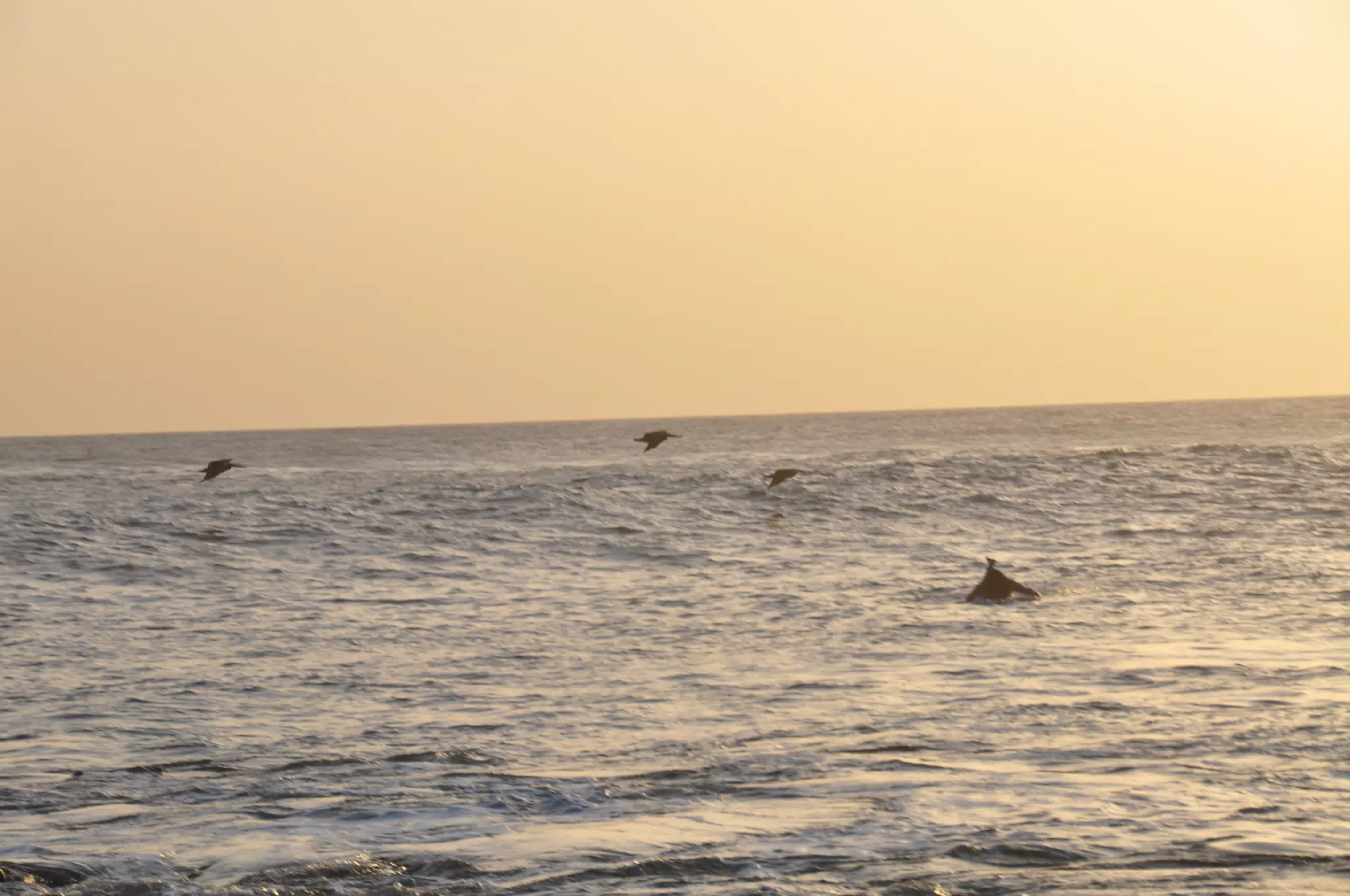 From the Simple Beach Lodge, Pas Penitas