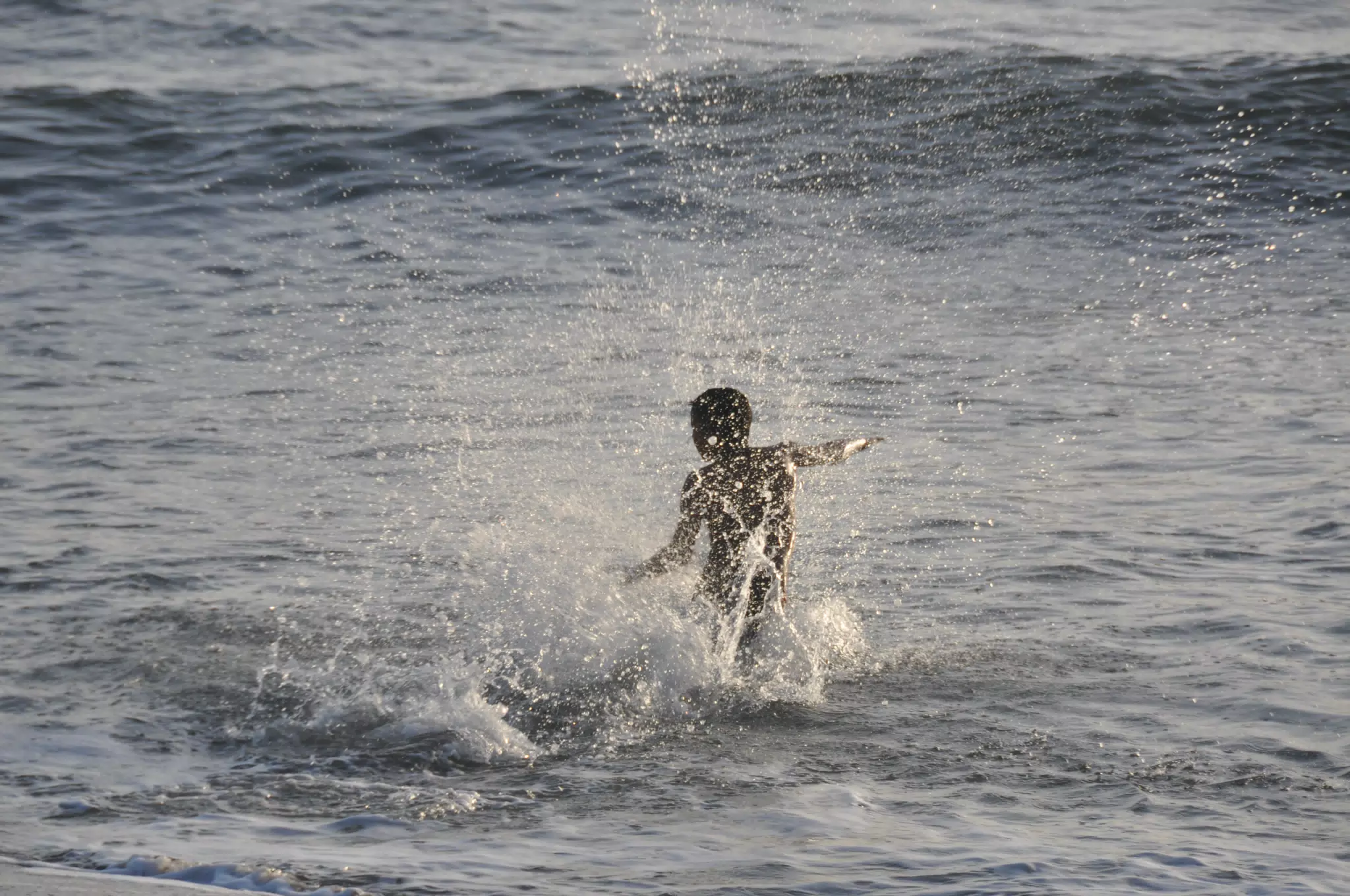 From the Simple Beach Lodge, Pas Penitas