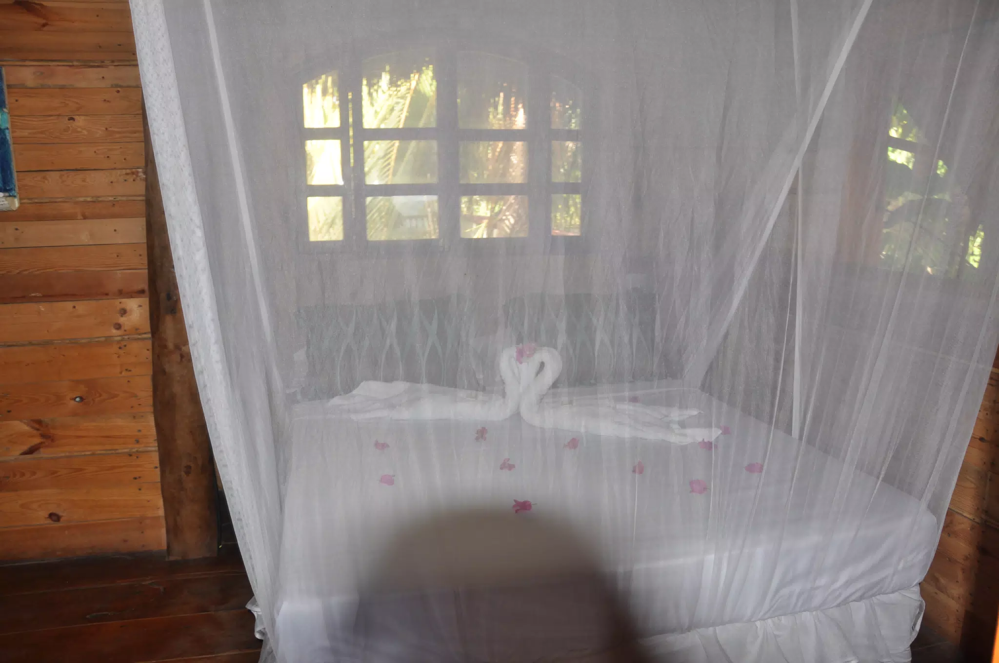 From the Simple Beach Lodge, Pas Penitas