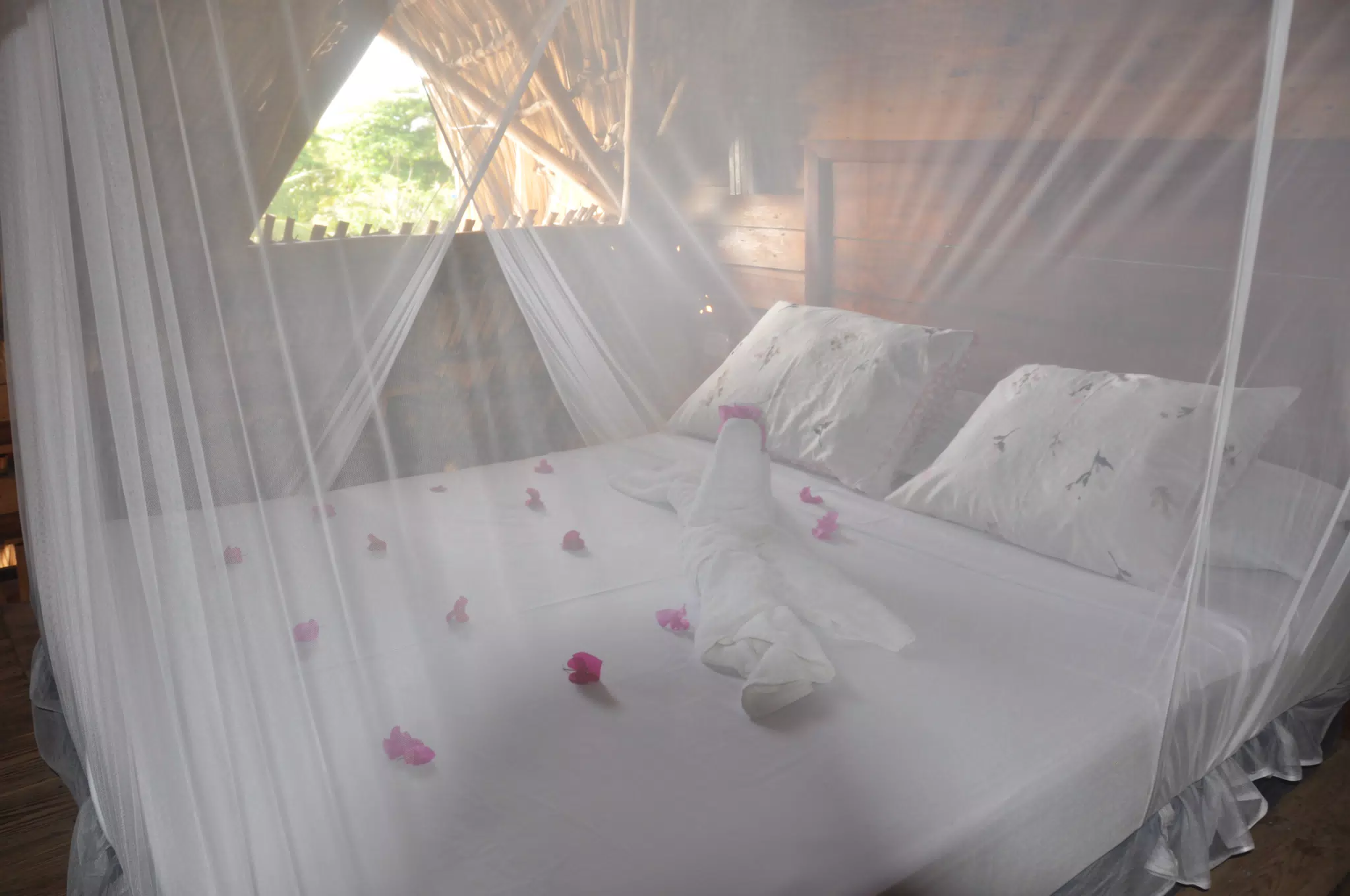 From the Simple Beach Lodge, Pas Penitas