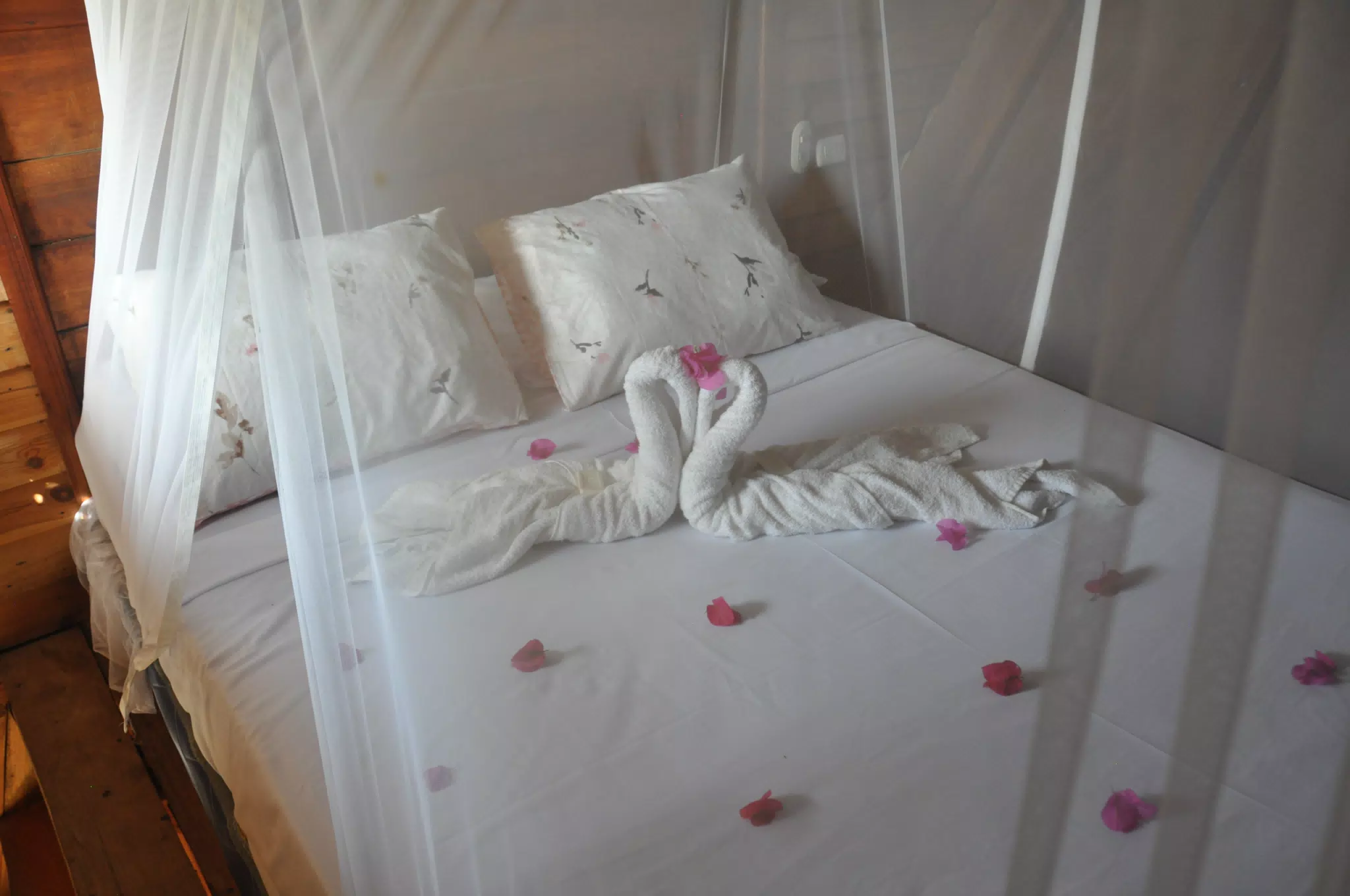 From the Simple Beach Lodge, Pas Penitas