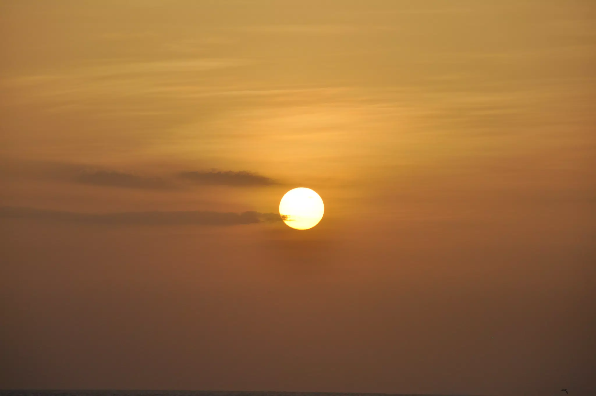 From the Simple Beach Lodge, Pas Penitas