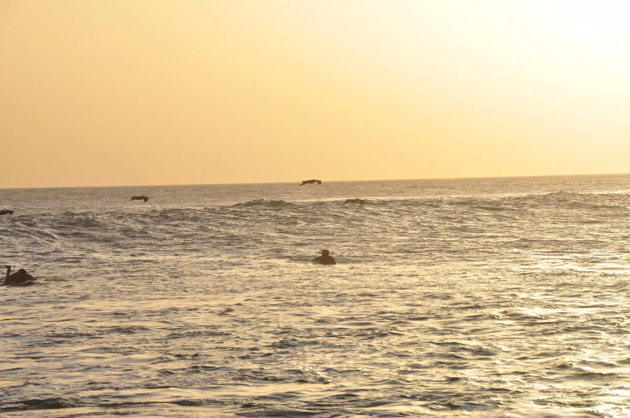 From the Simple Beach Lodge, Pas Penitas