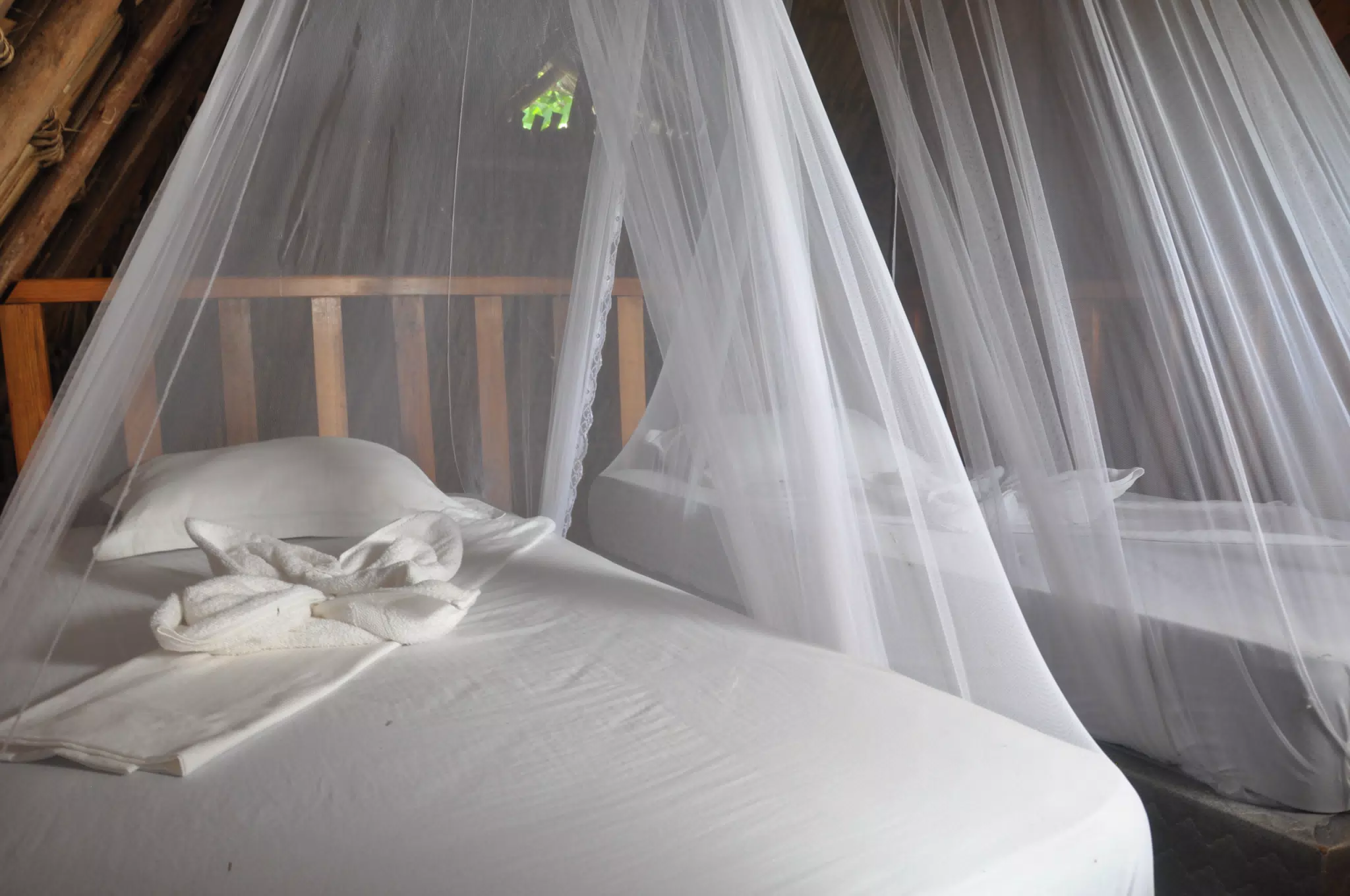 From the Simple Beach Lodge, Pas Penitas