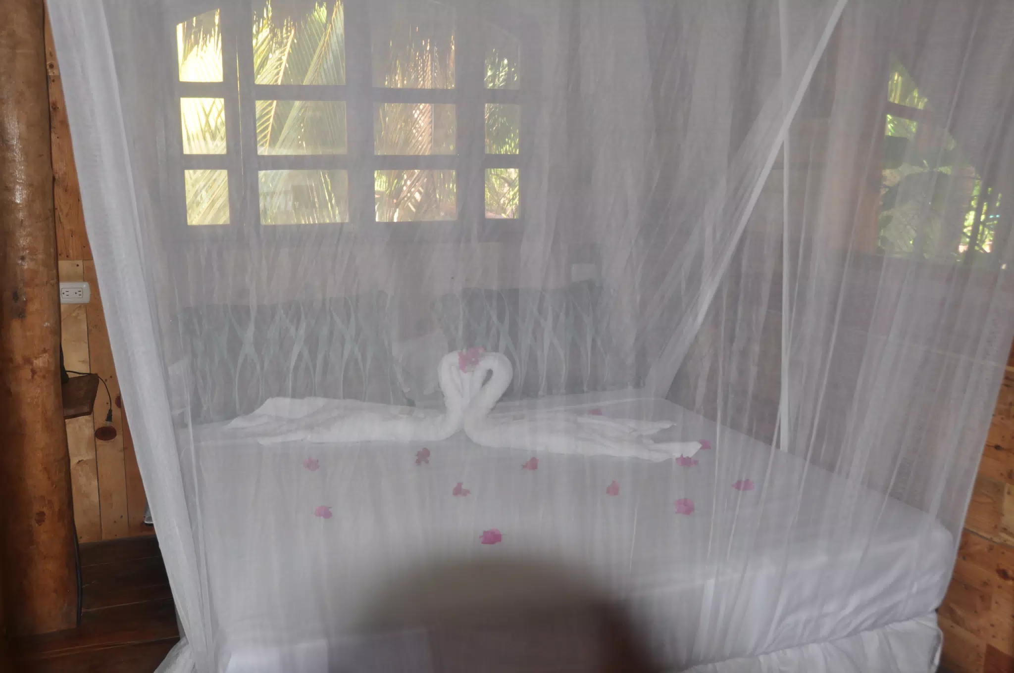 From the Simple Beach Lodge, Pas Penitas