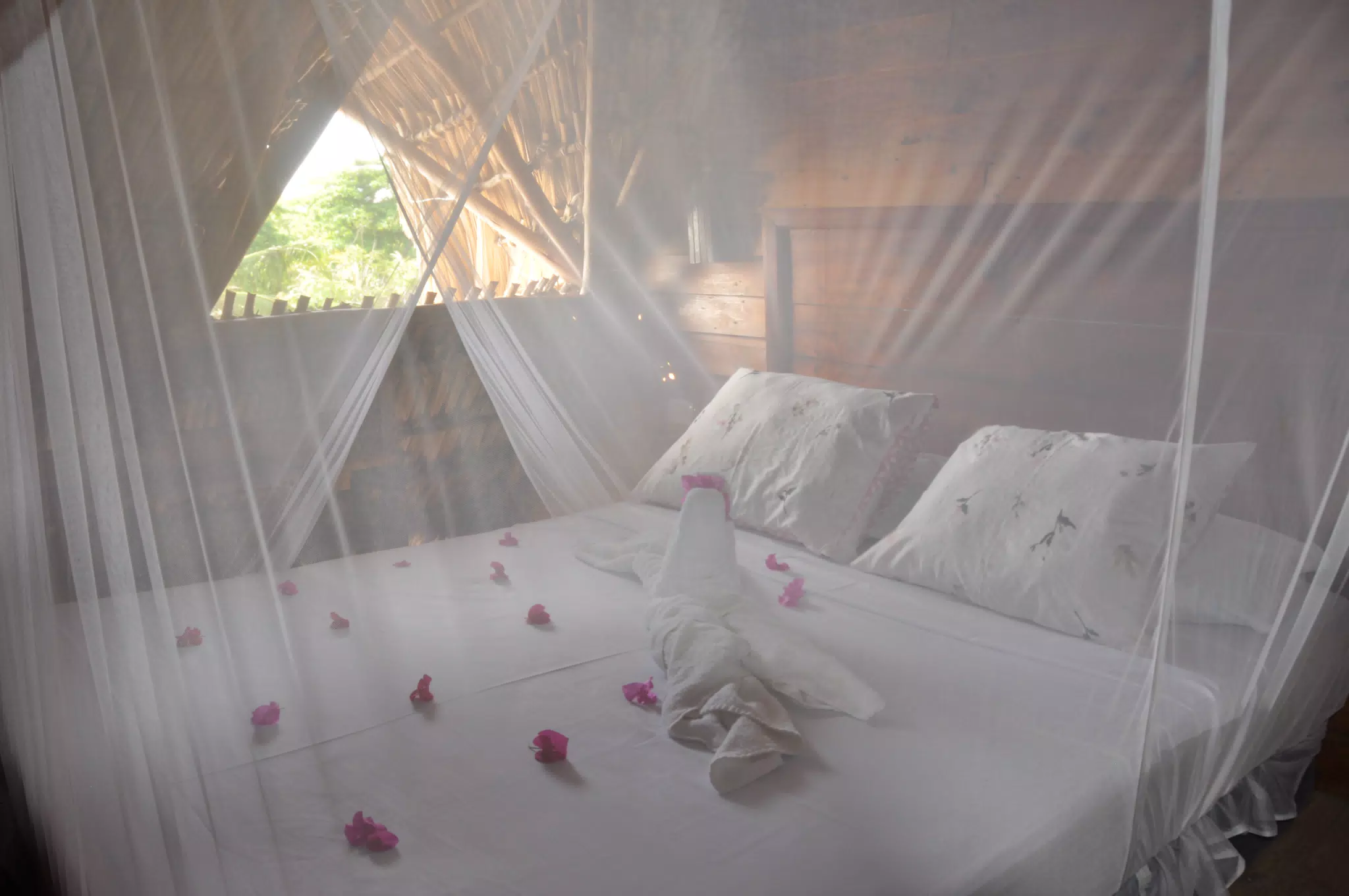 From the Simple Beach Lodge, Pas Penitas