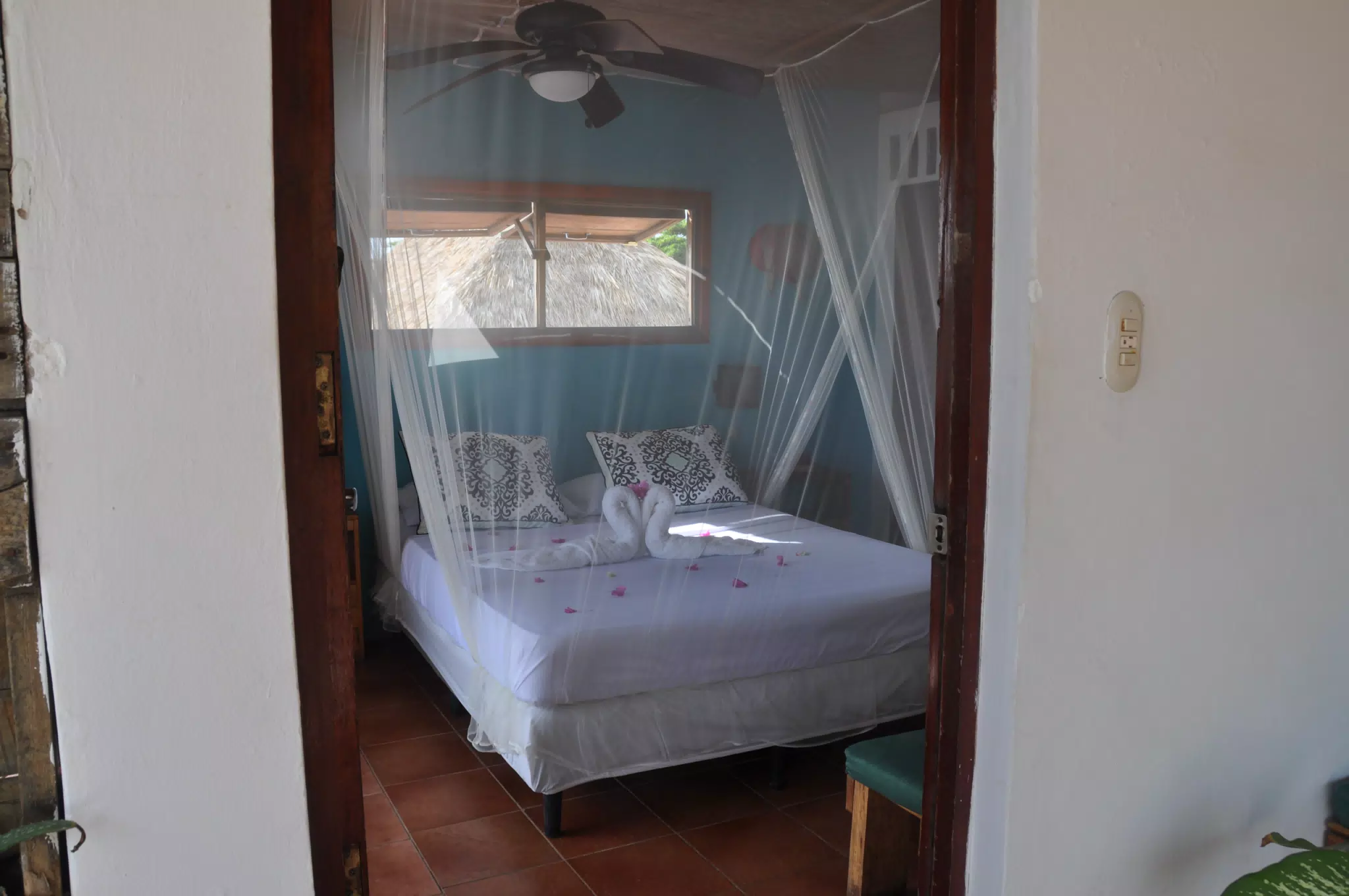 From the Simple Beach Lodge, Pas Penitas