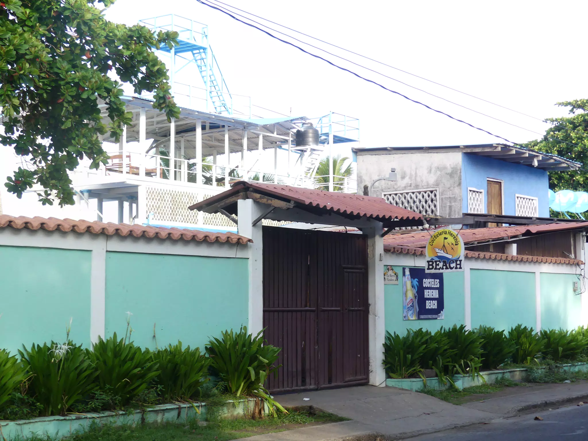 Morning Scenes of Las Penitas