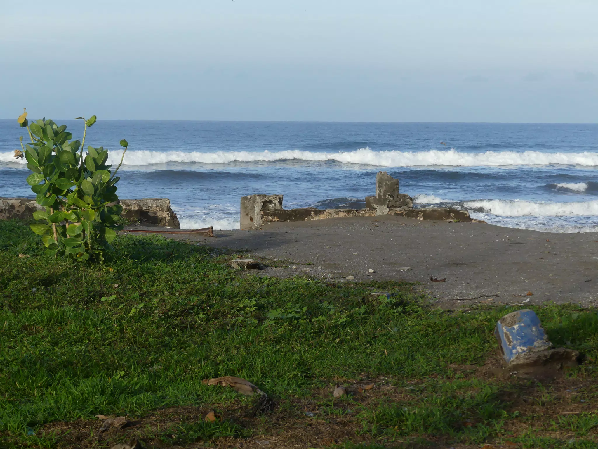 Morning Scenes of Las Penitas