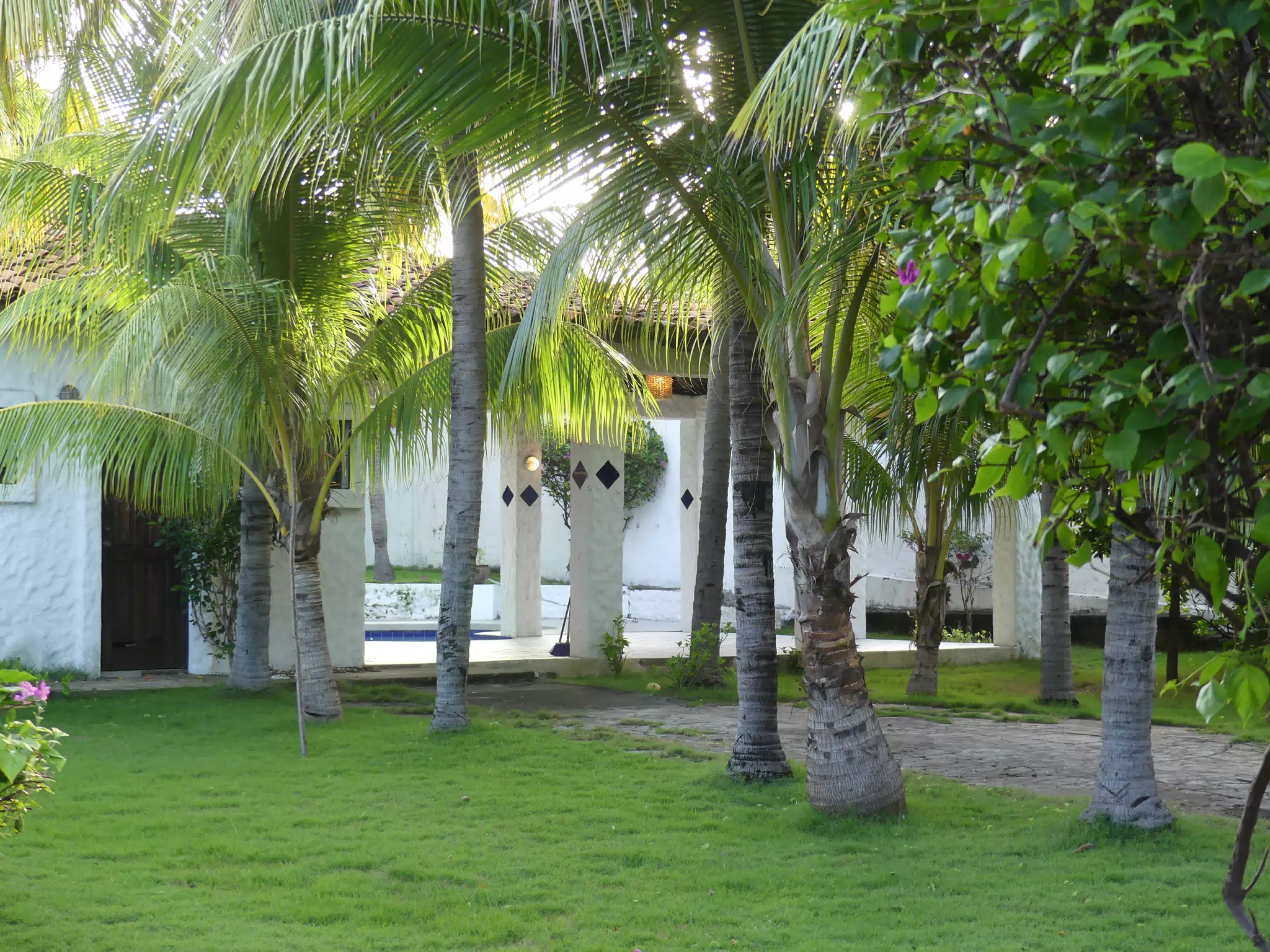 Morning Scenes of Las Penitas