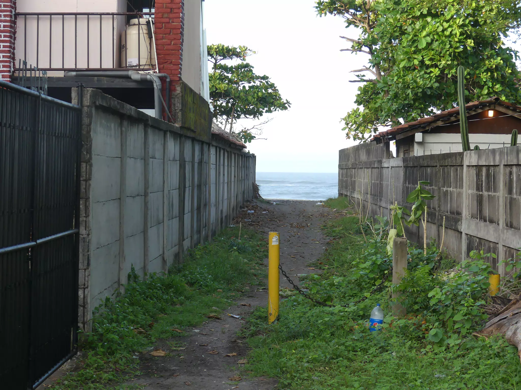 Morning Scenes of Las Penitas