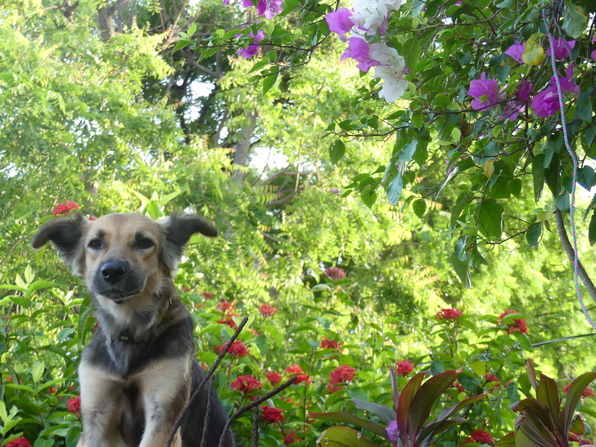 Morning Scenes of Las Penitas