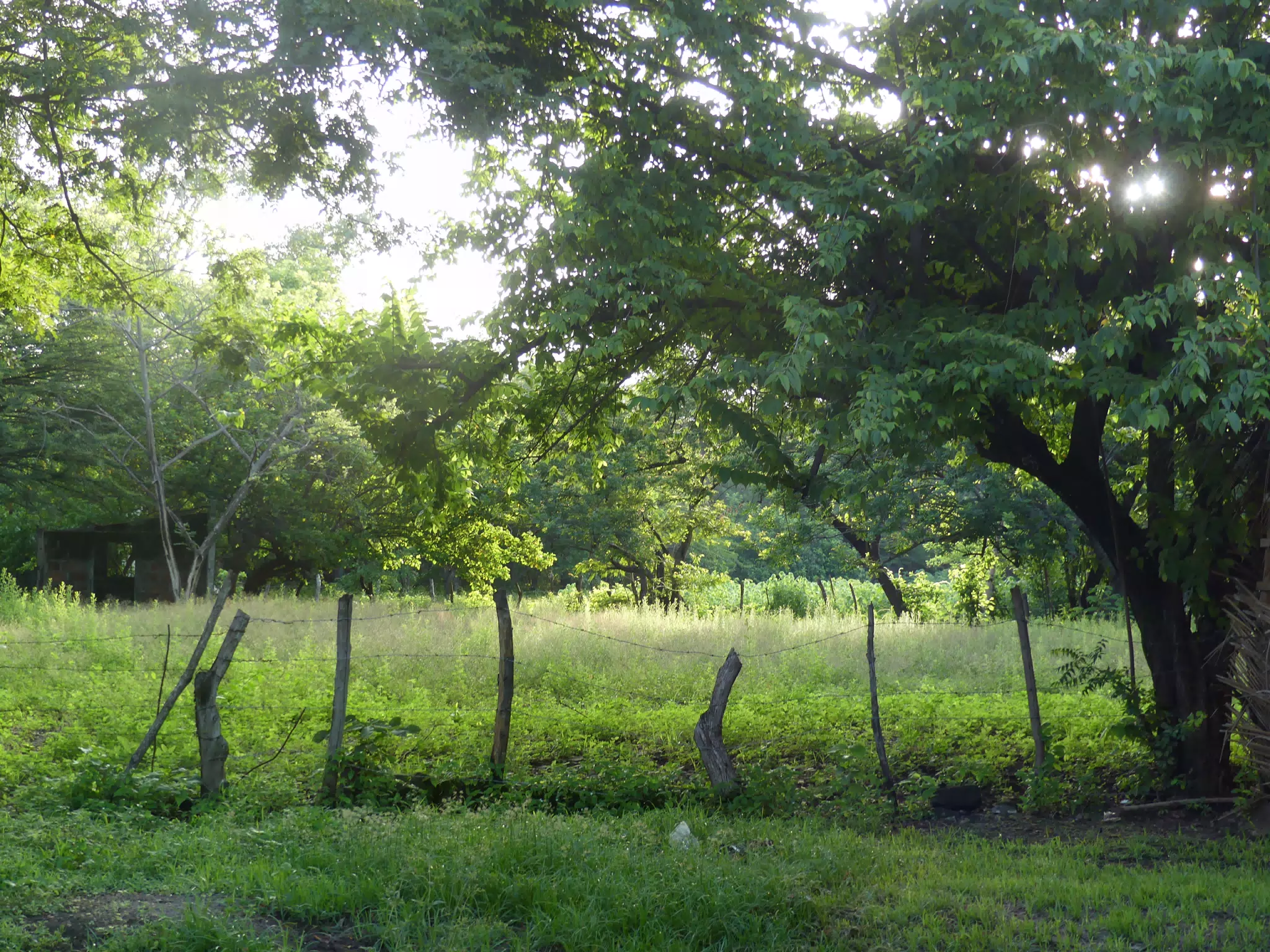 Morning Scenes of Las Penitas