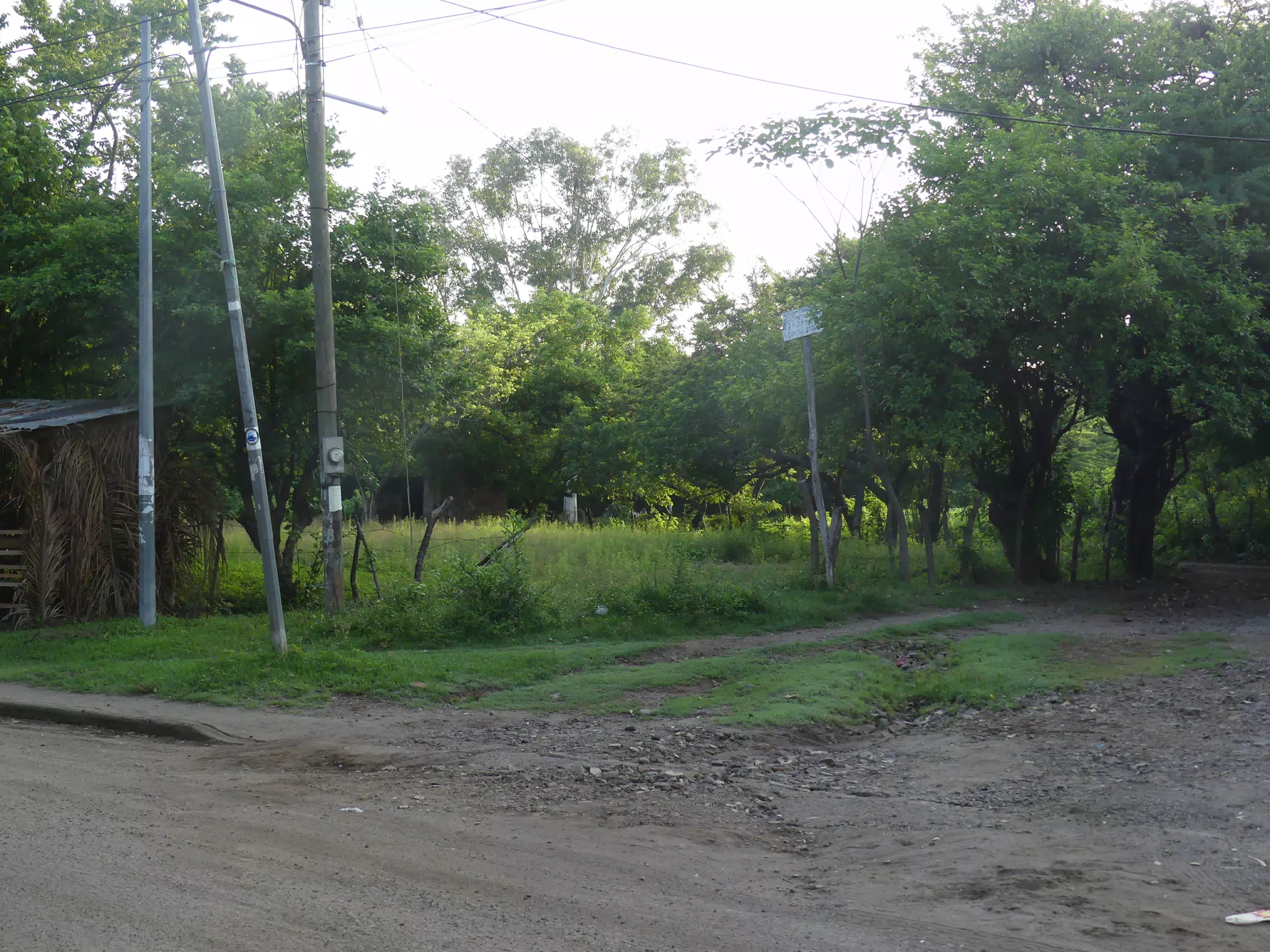Morning Scenes of Las Penitas