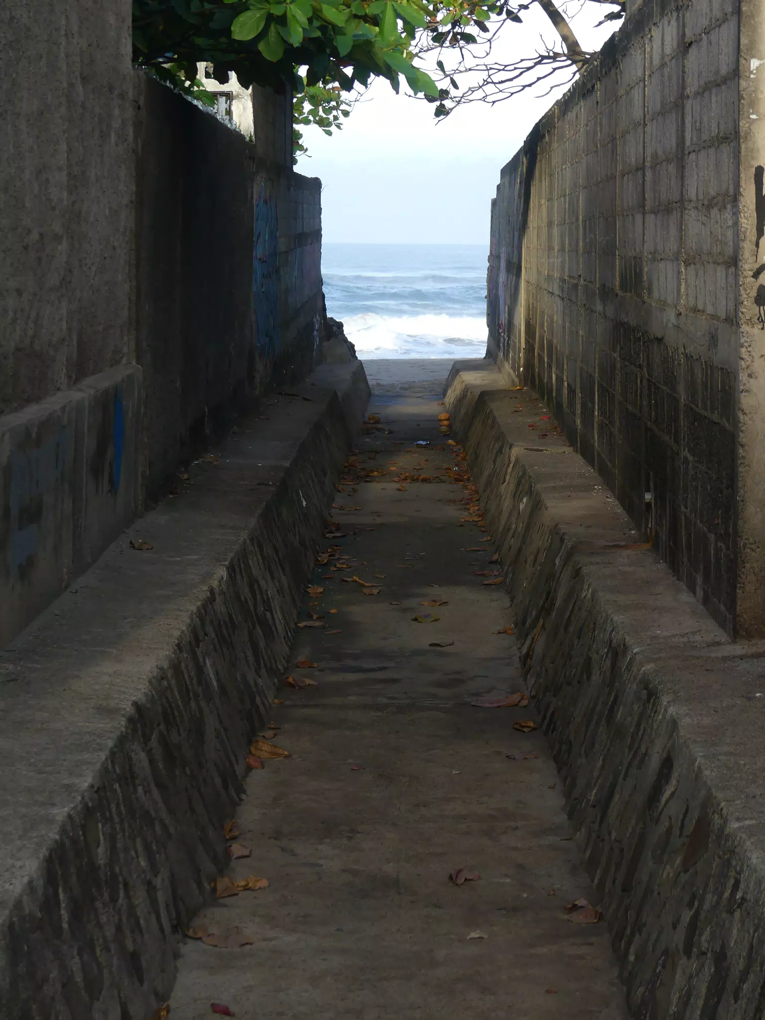 Morning Scenes of Las Penitas