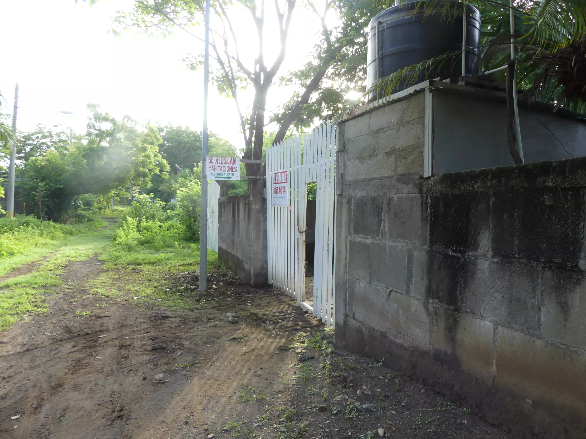 Morning Scenes of Las Penitas