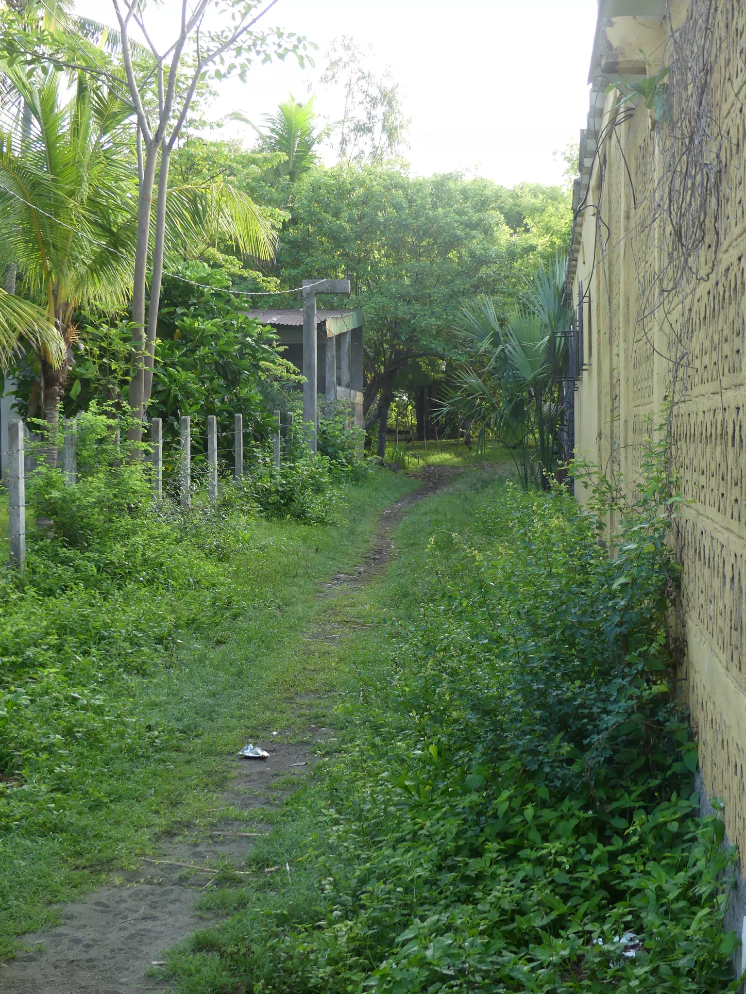 Morning Scenes of Las Penitas