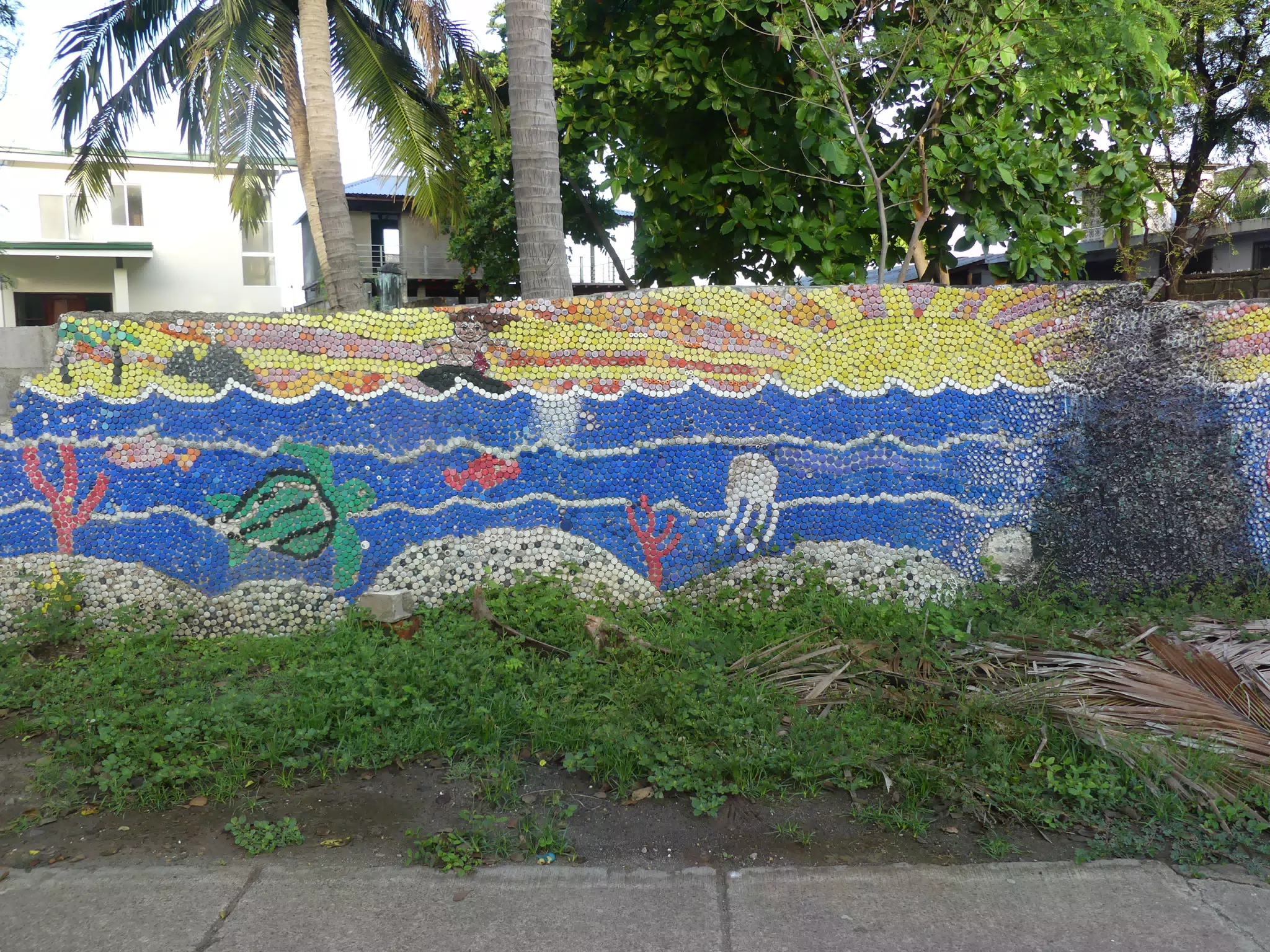 Morning Scenes of Las Penitas