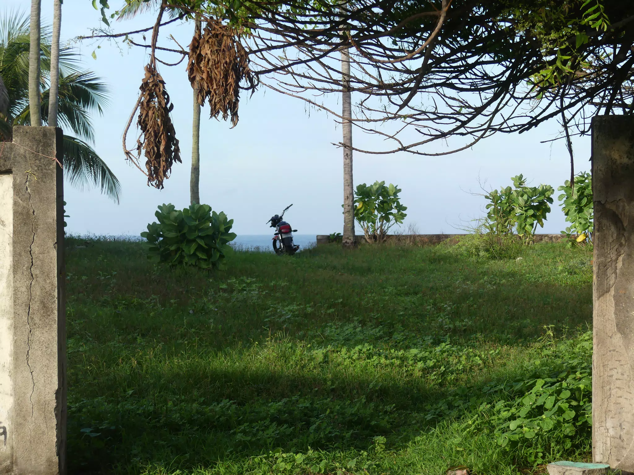 Morning Scenes of Las Penitas